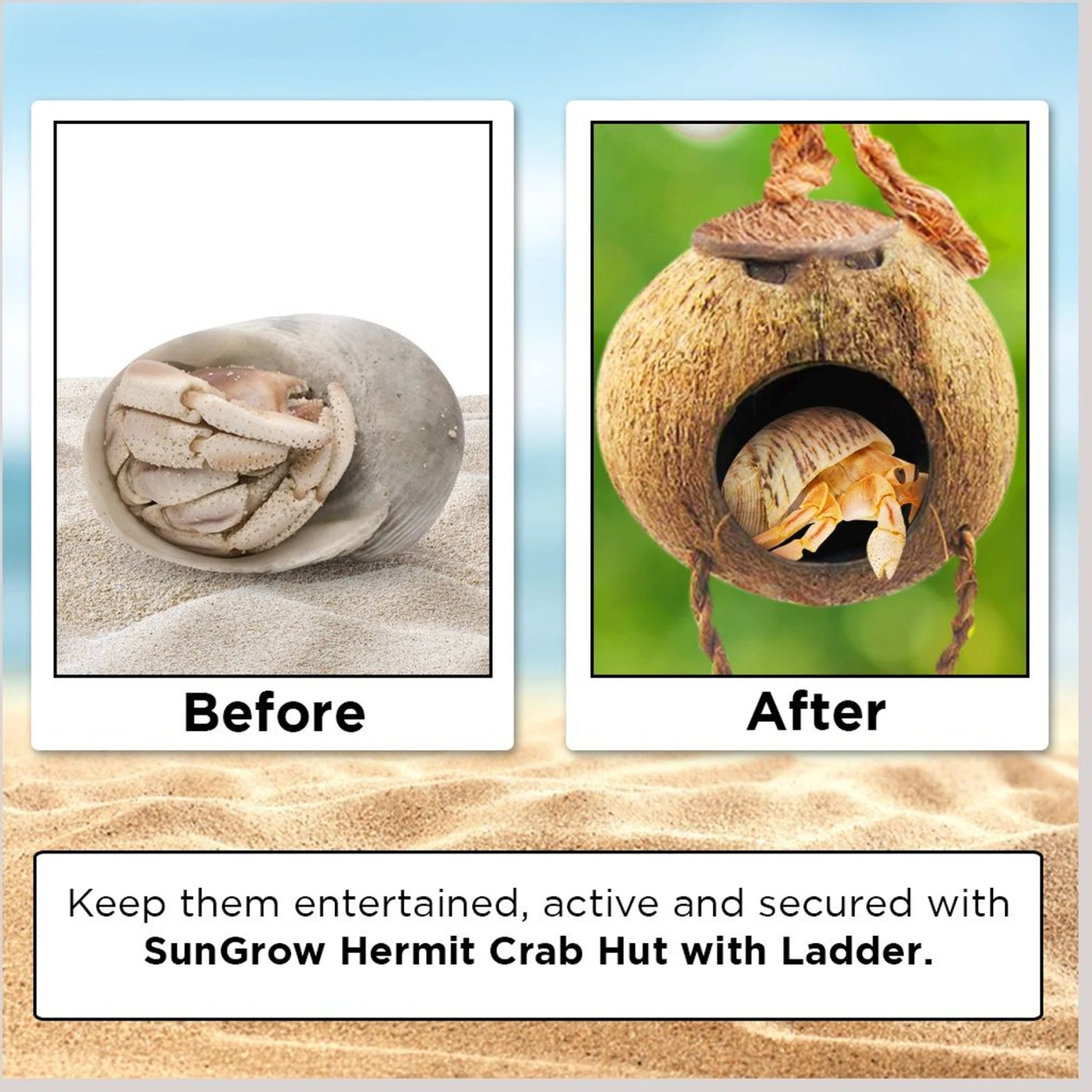 SunGrow Hermit Crab Coconut Climbing Habitat & Hideaway Cage With Ladder - Image 4