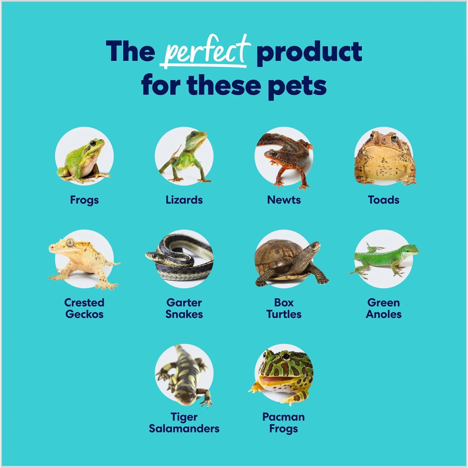 Frisco Coco Coir Reptile Bedding - Image 5