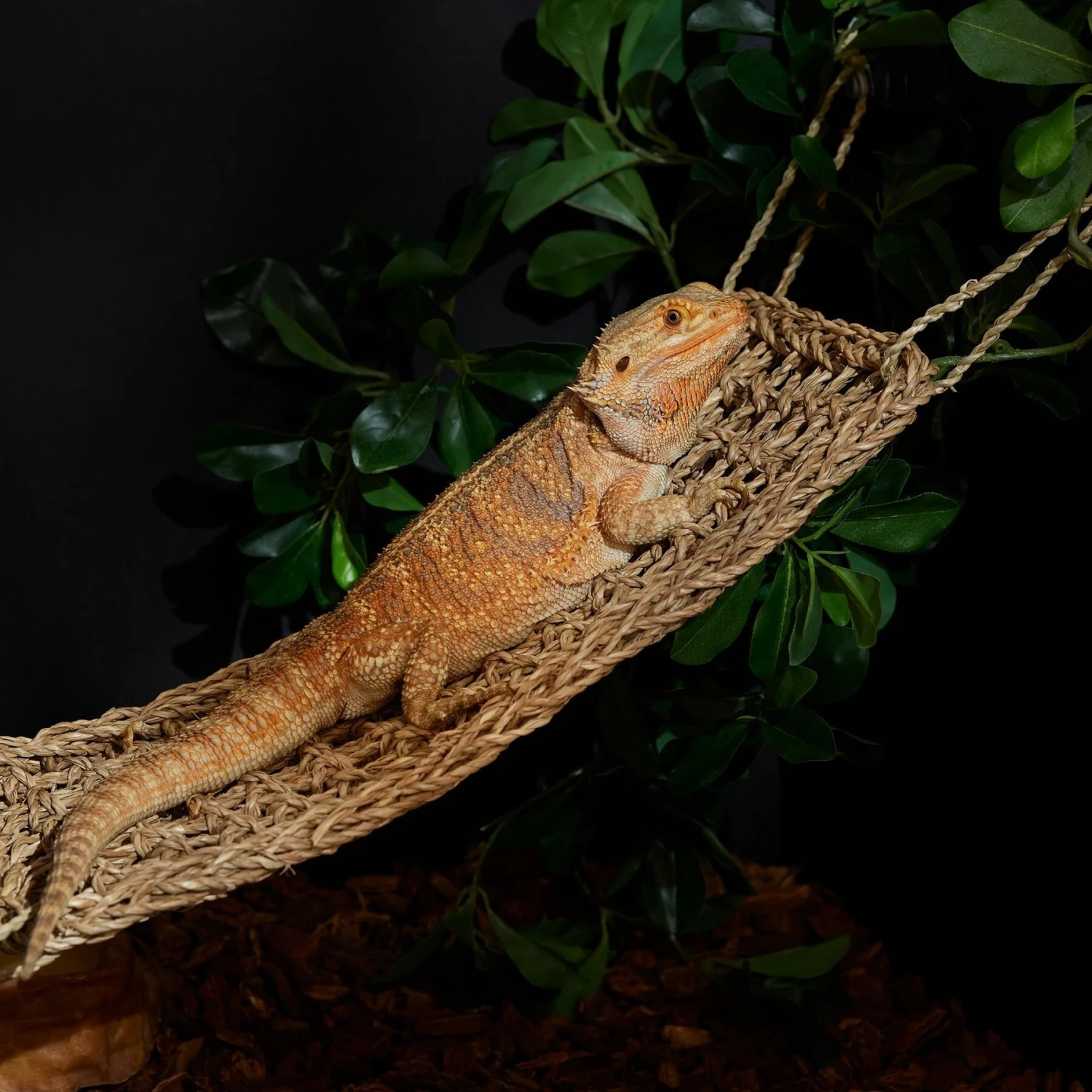 Frisco Woven Reptile Lounging Mat - Image 4