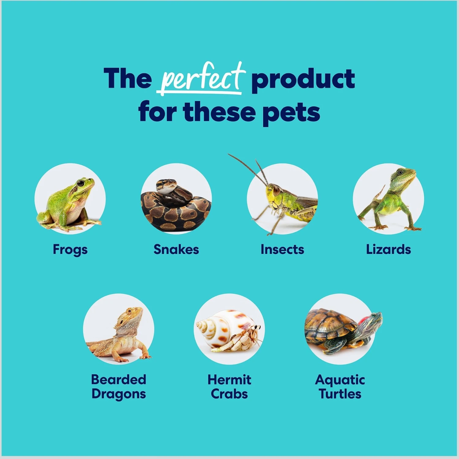 Frisco Cypress Reptile Bedding - Image 5