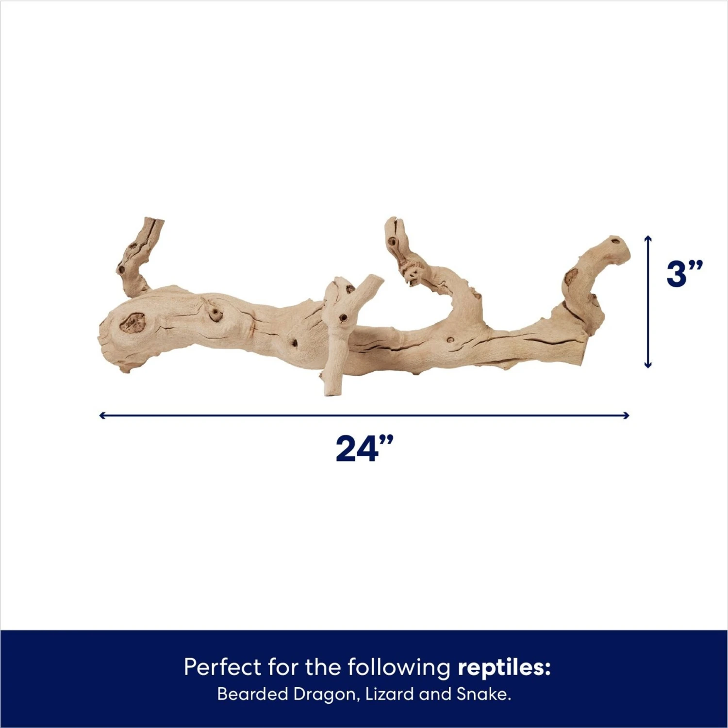 Frisco Reptile Natural Grapevine Branch - Image 2