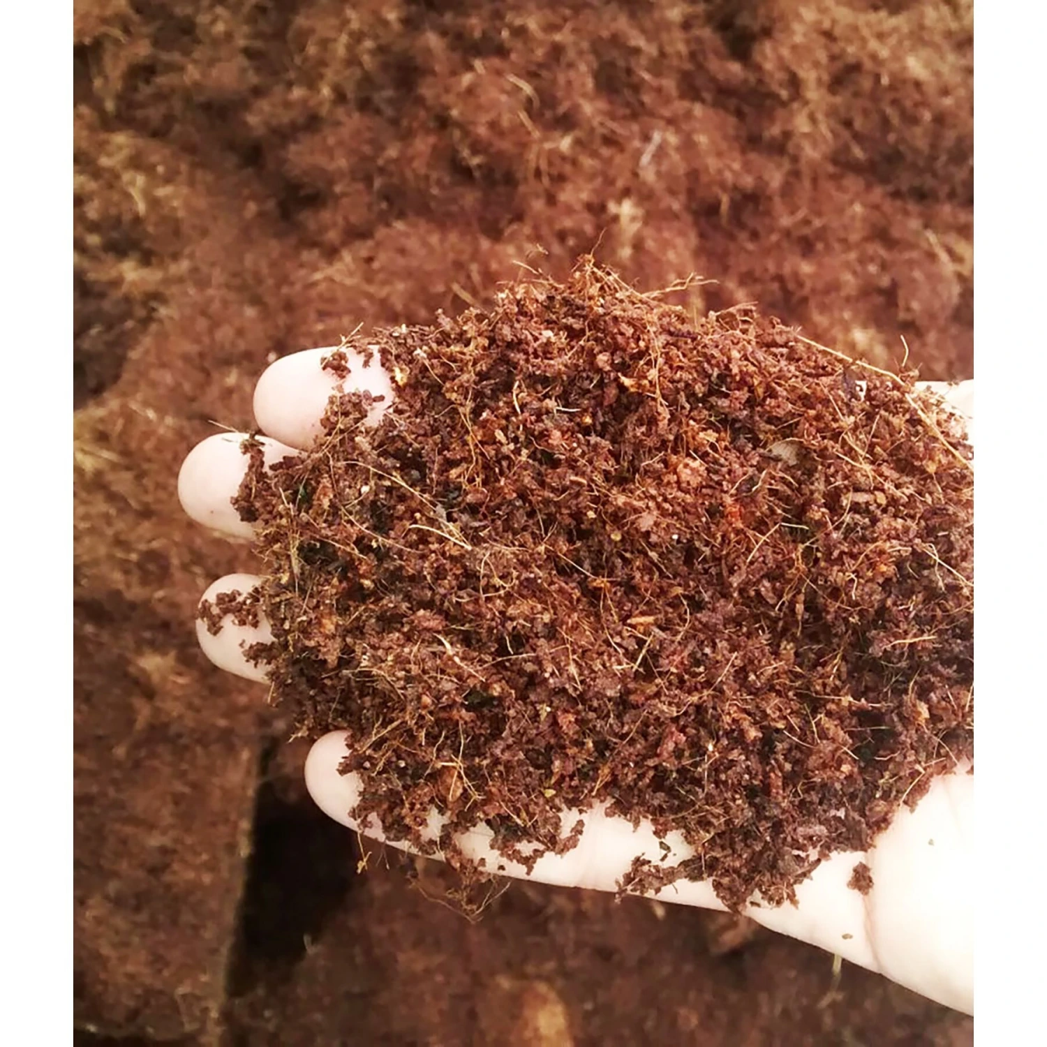 Exoticare Wormiculture Coconut Reptile Substrate, 2-lb Bag - Image 4