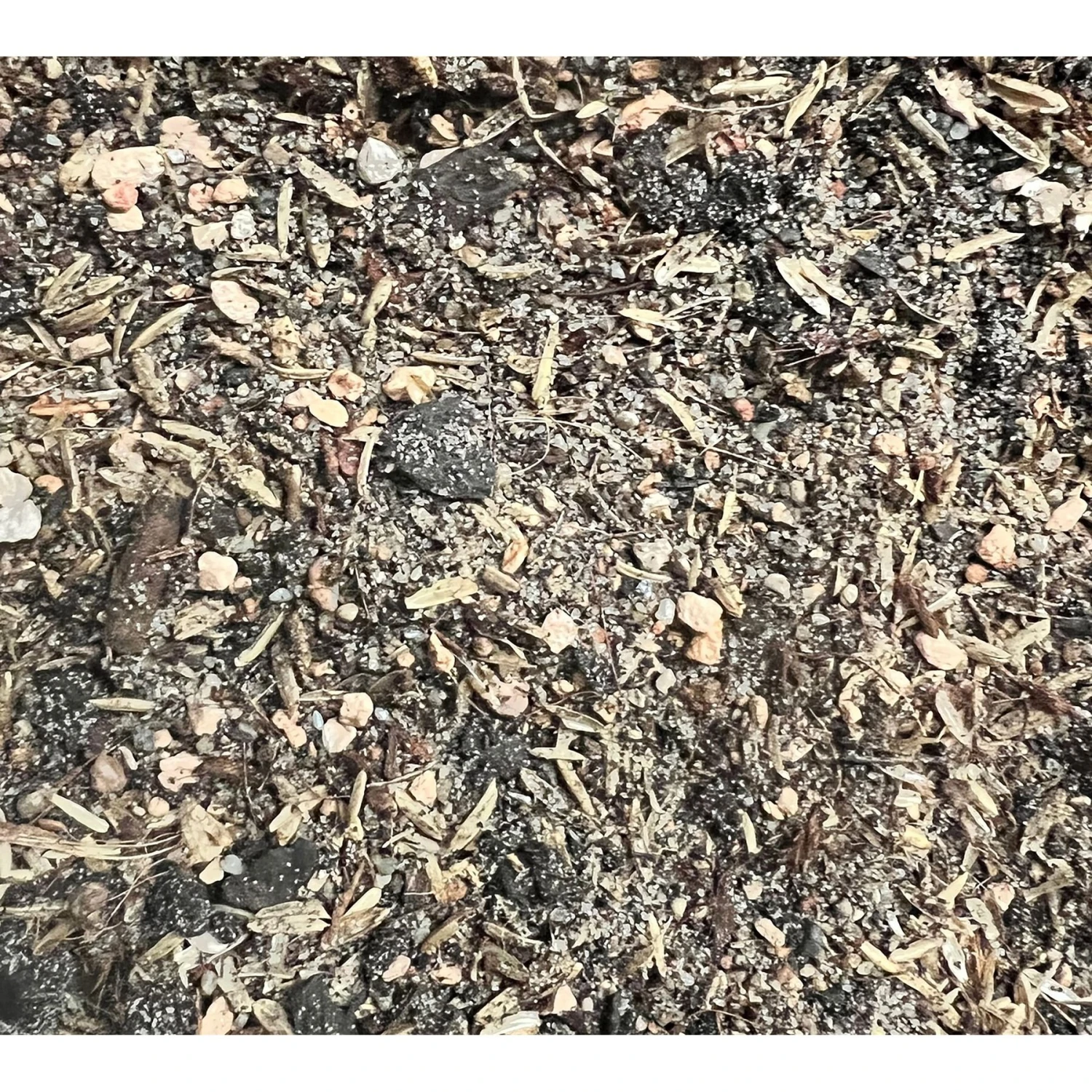 Exoticare Desert Blend Coconut Free Premium Reptile Substrate, 12-lb Bag - Image 3