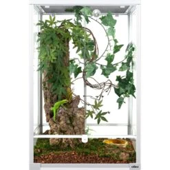 OiiBO 2-in-1 Glass Screen & Mesh Ventilation Double Hinge Door Reptile Terrarium, Large, 55-gal
