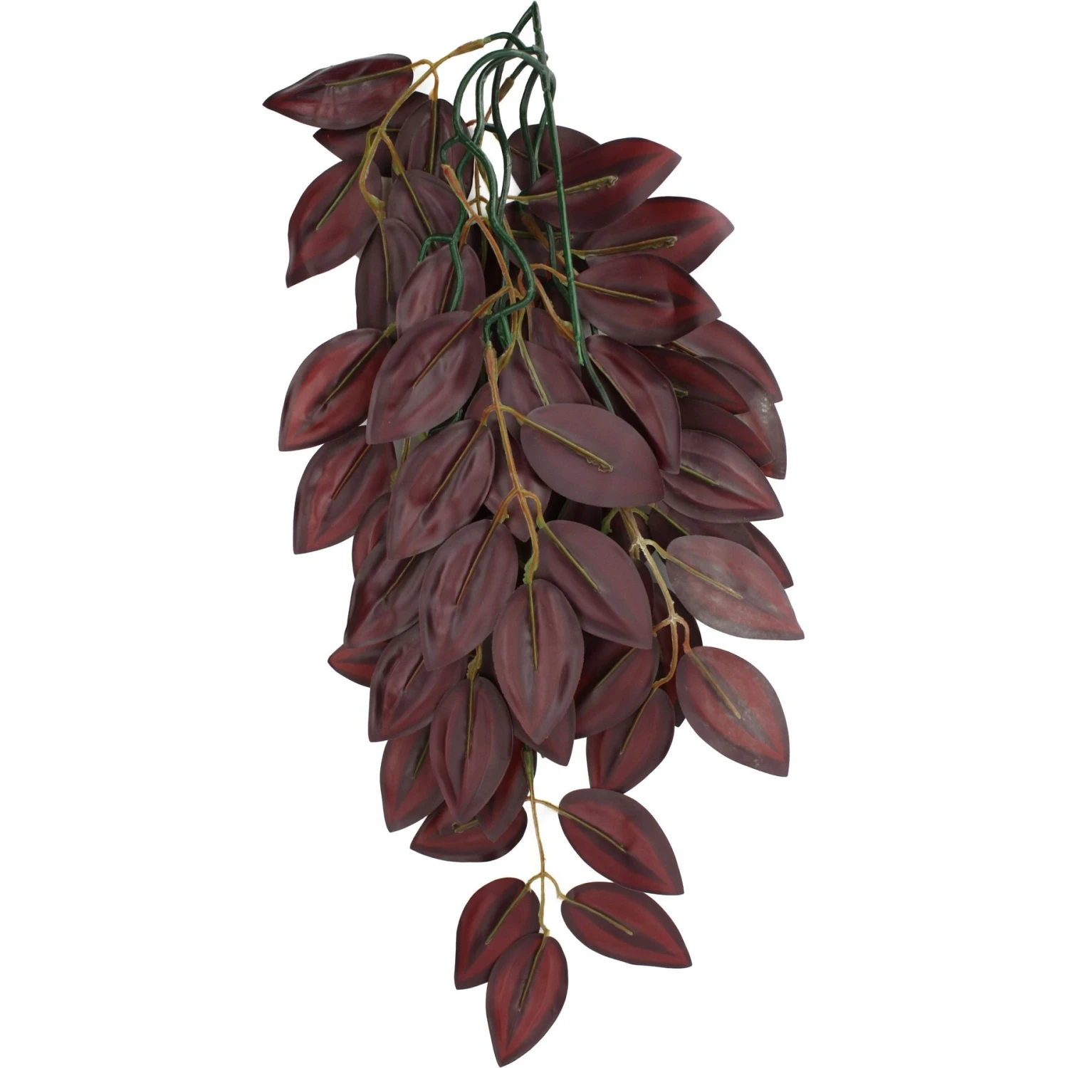 Komodo Climbing Zebrina Aquarium Plant - Image 2