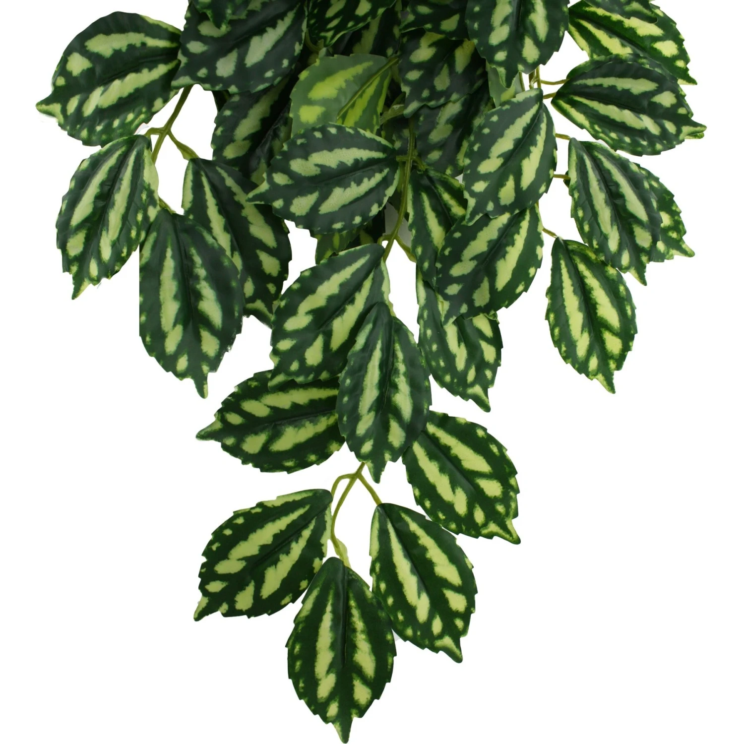 Komodo Climbing Two Tone Aquarium Plant - Image 4