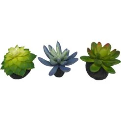 Komodo Succulent Aquarium Plant, 3-in, 3 Count