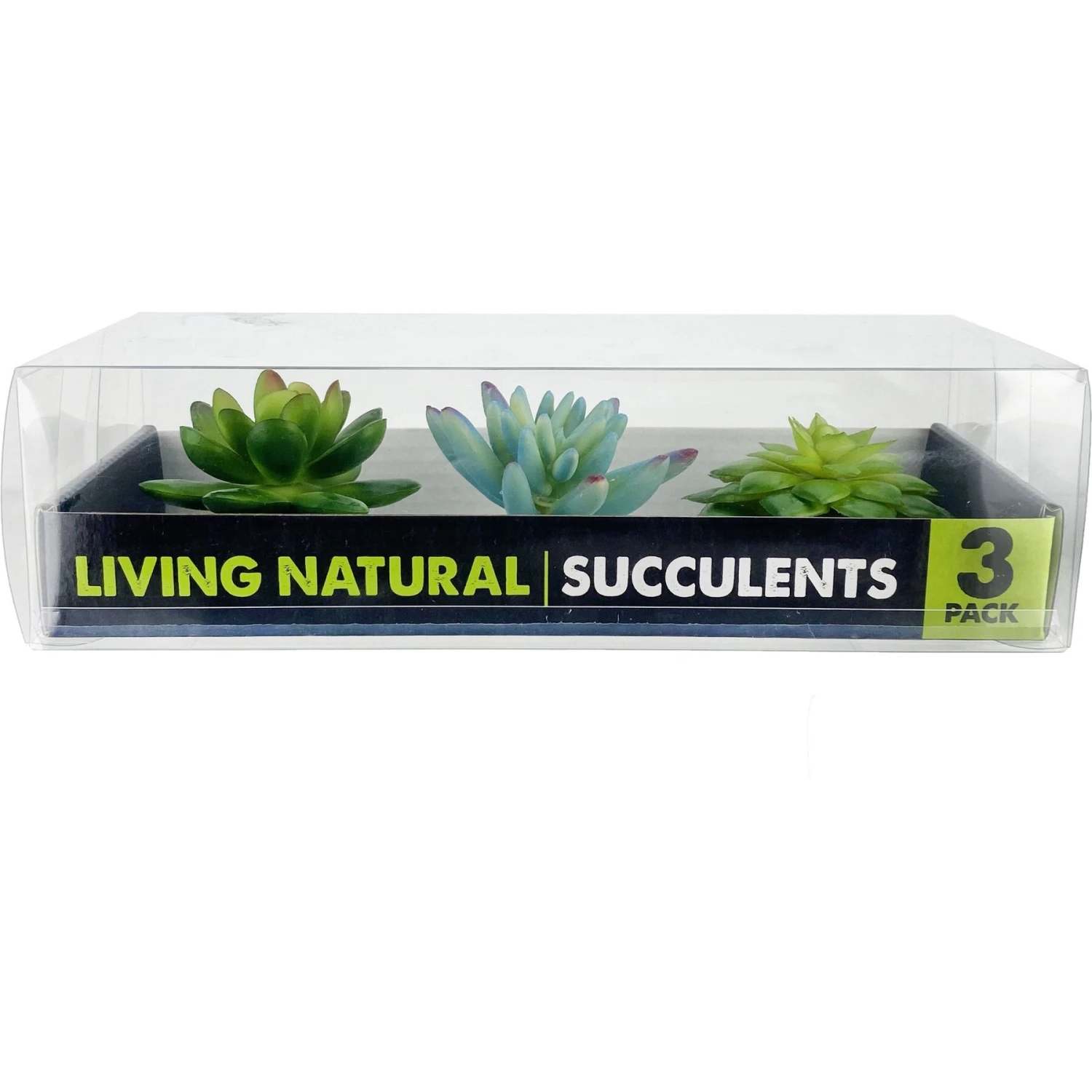 Komodo Succulent Aquarium Plant, 3-in, 3 Count - Image 4