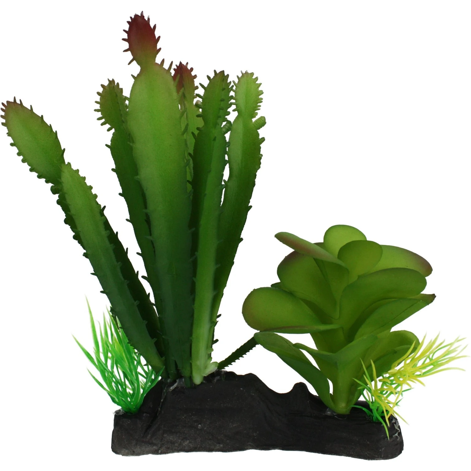 Komodo Cactus & Succulent Aquarium Plant, 5-in - Image 2