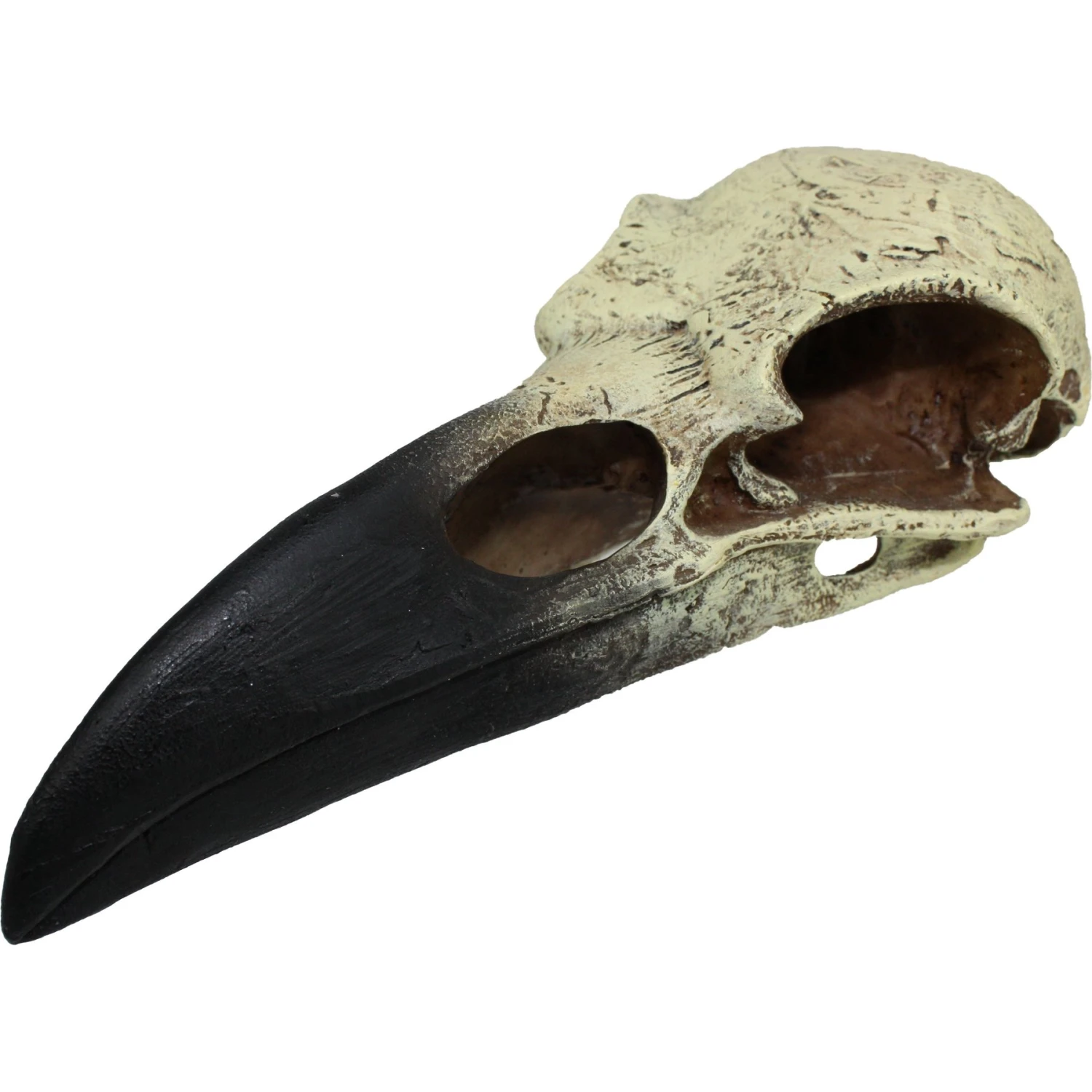 Komodo Raven Skull Aquarium Ornament