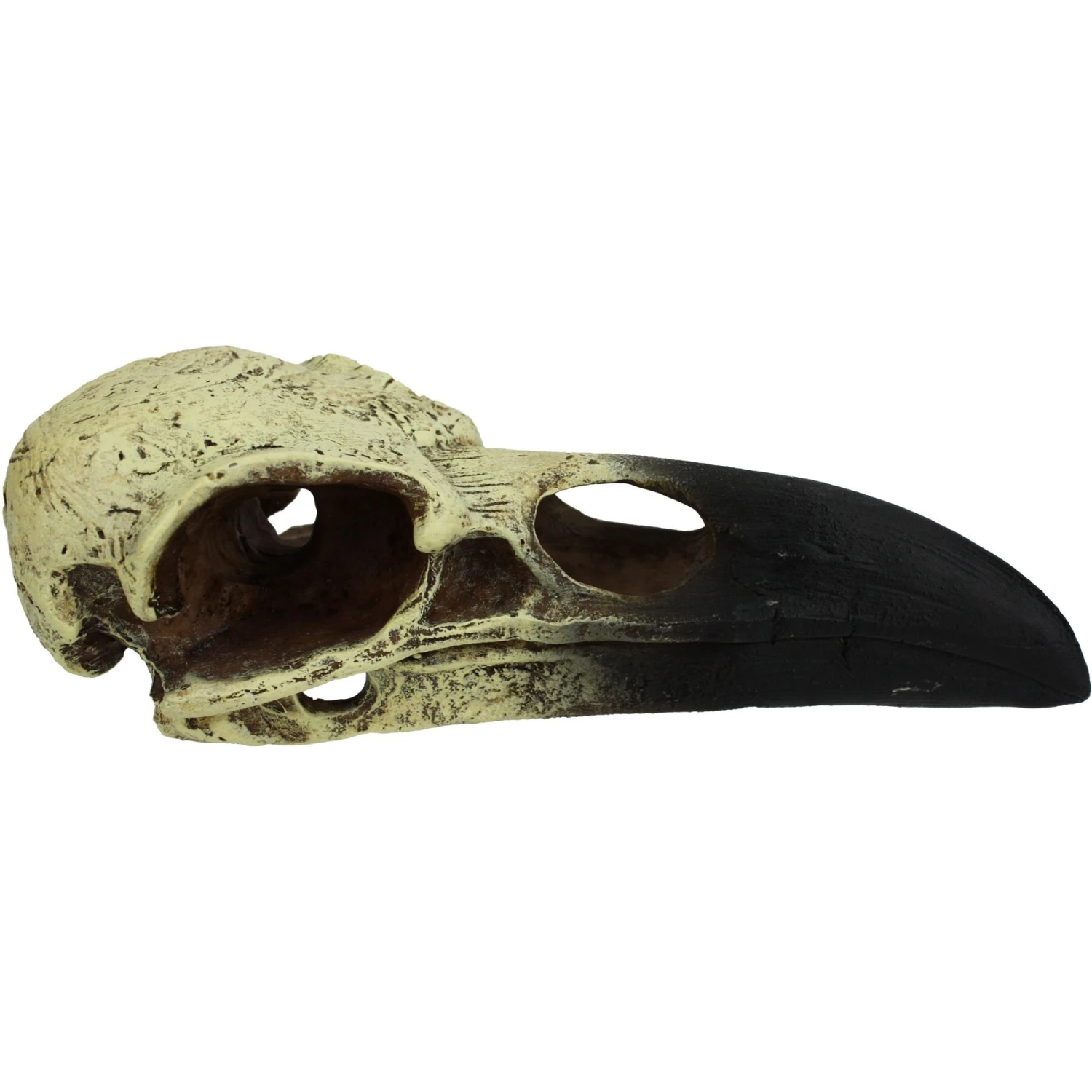 Komodo Raven Skull Aquarium Ornament - Image 2