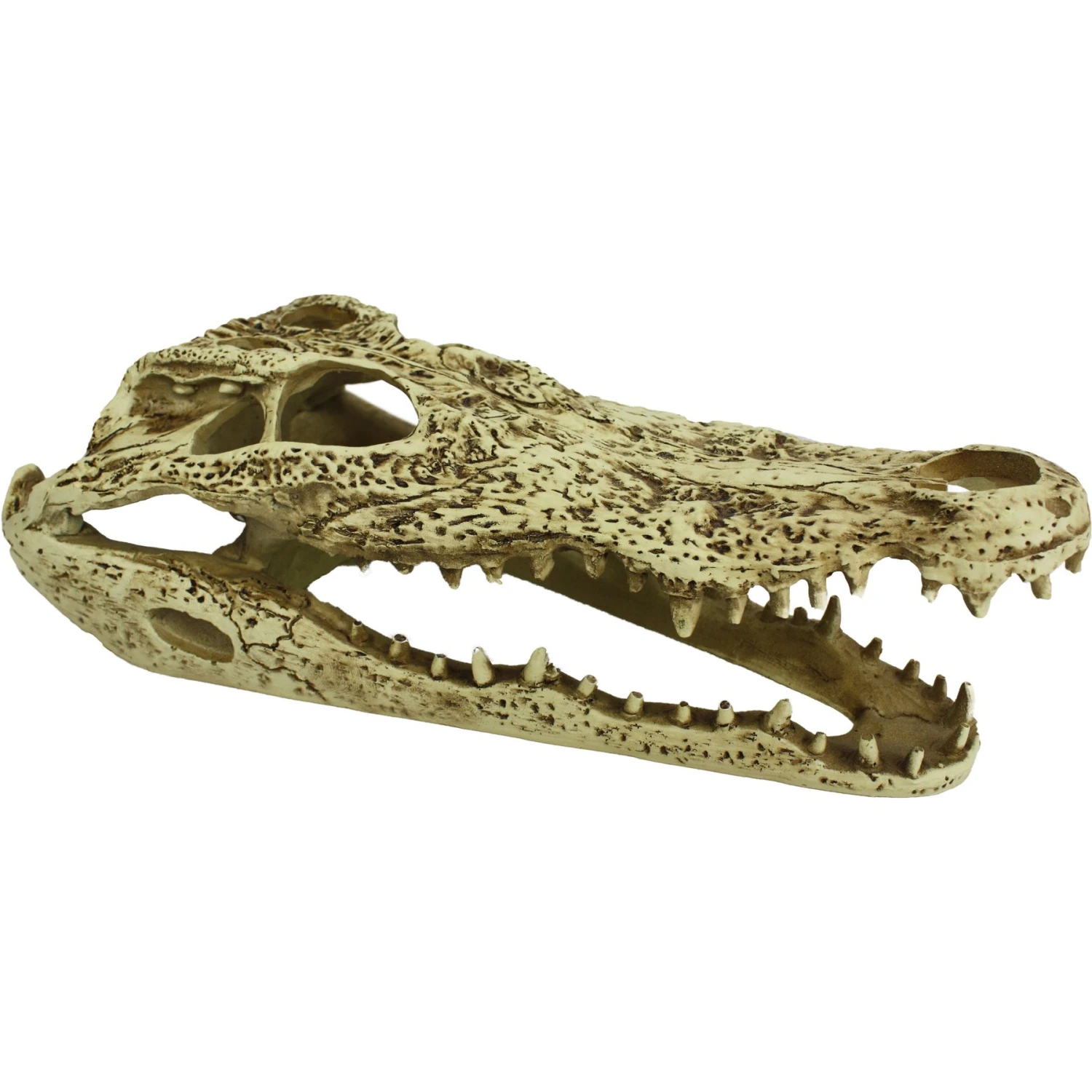 Komodo Alligator Skull Aquarium Ornament, 9-in