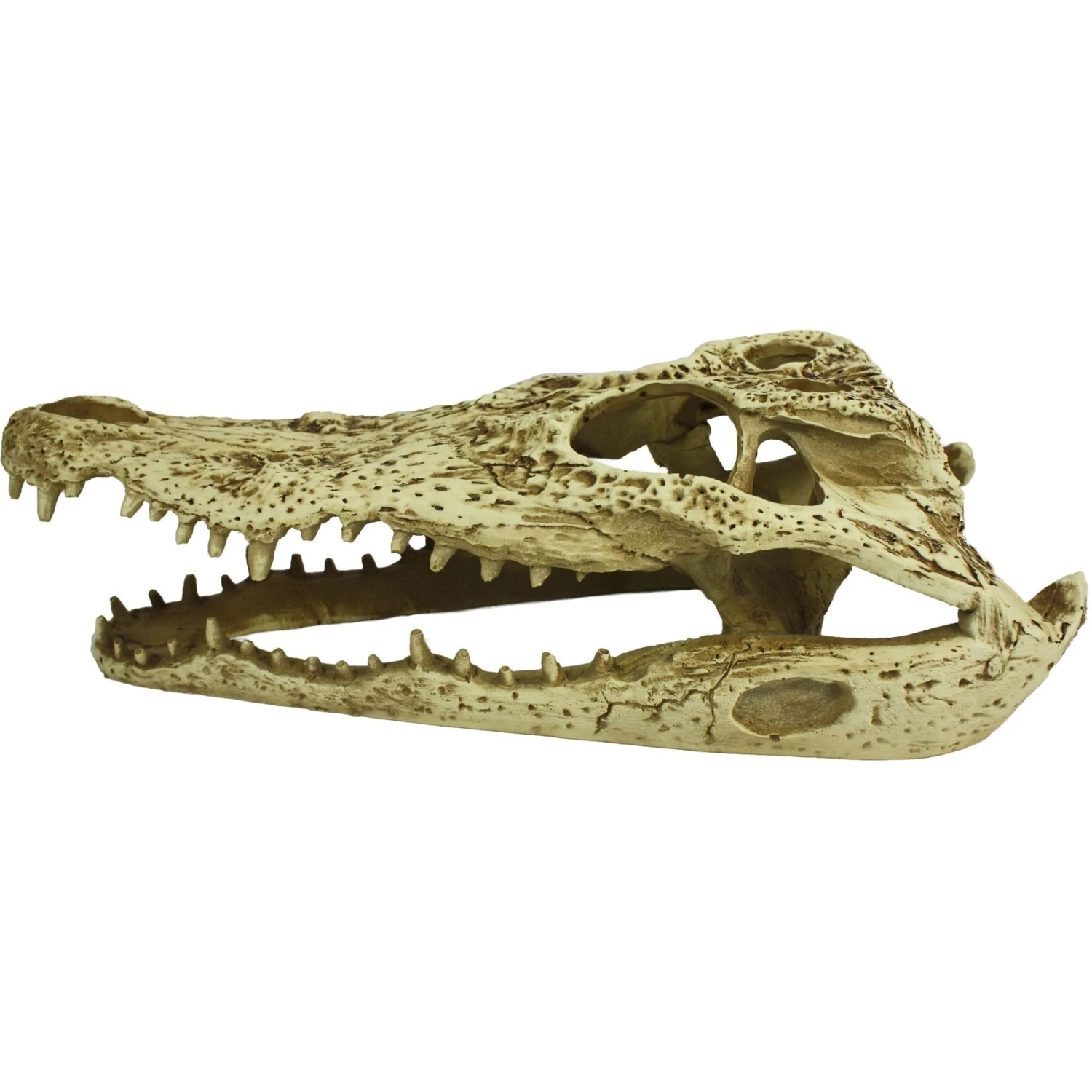 Komodo Alligator Skull Aquarium Ornament, 9-in - Image 2