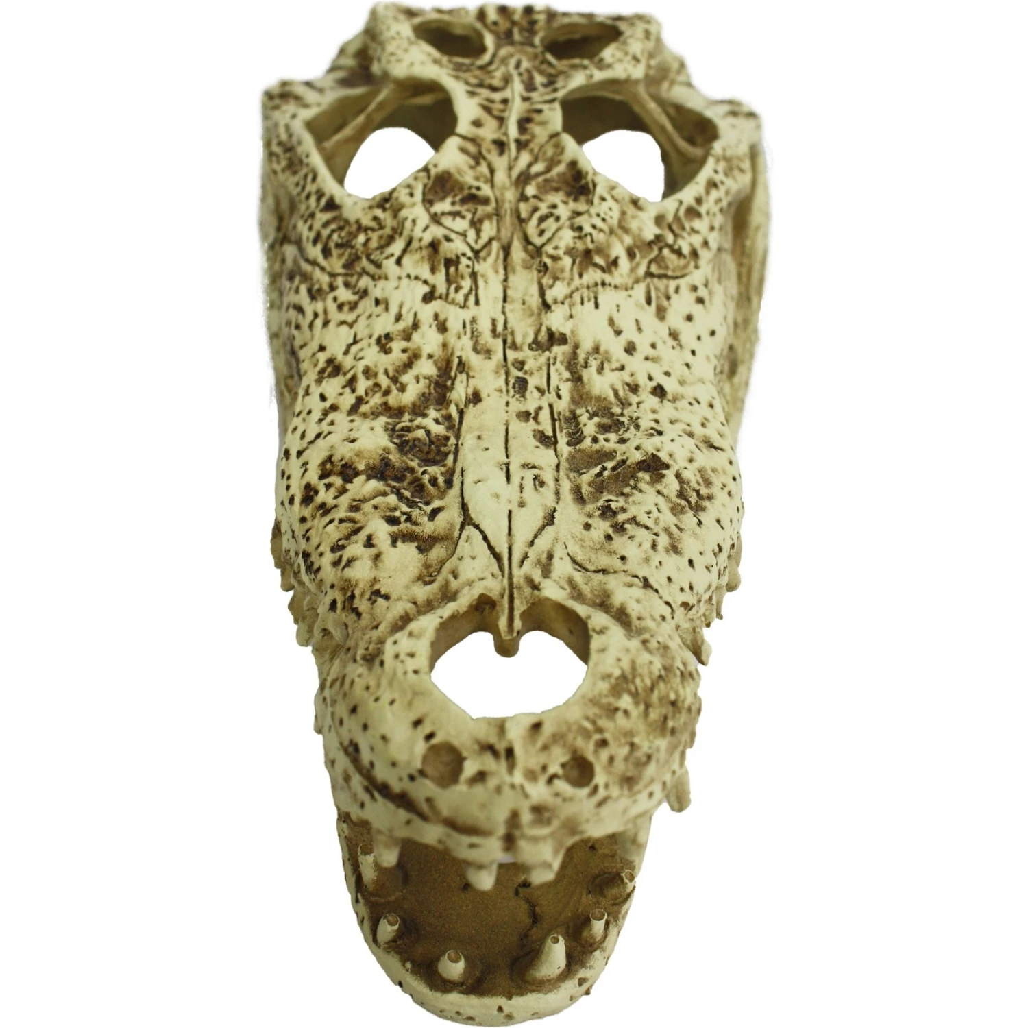 Komodo Alligator Skull Aquarium Ornament, 9-in - Image 3