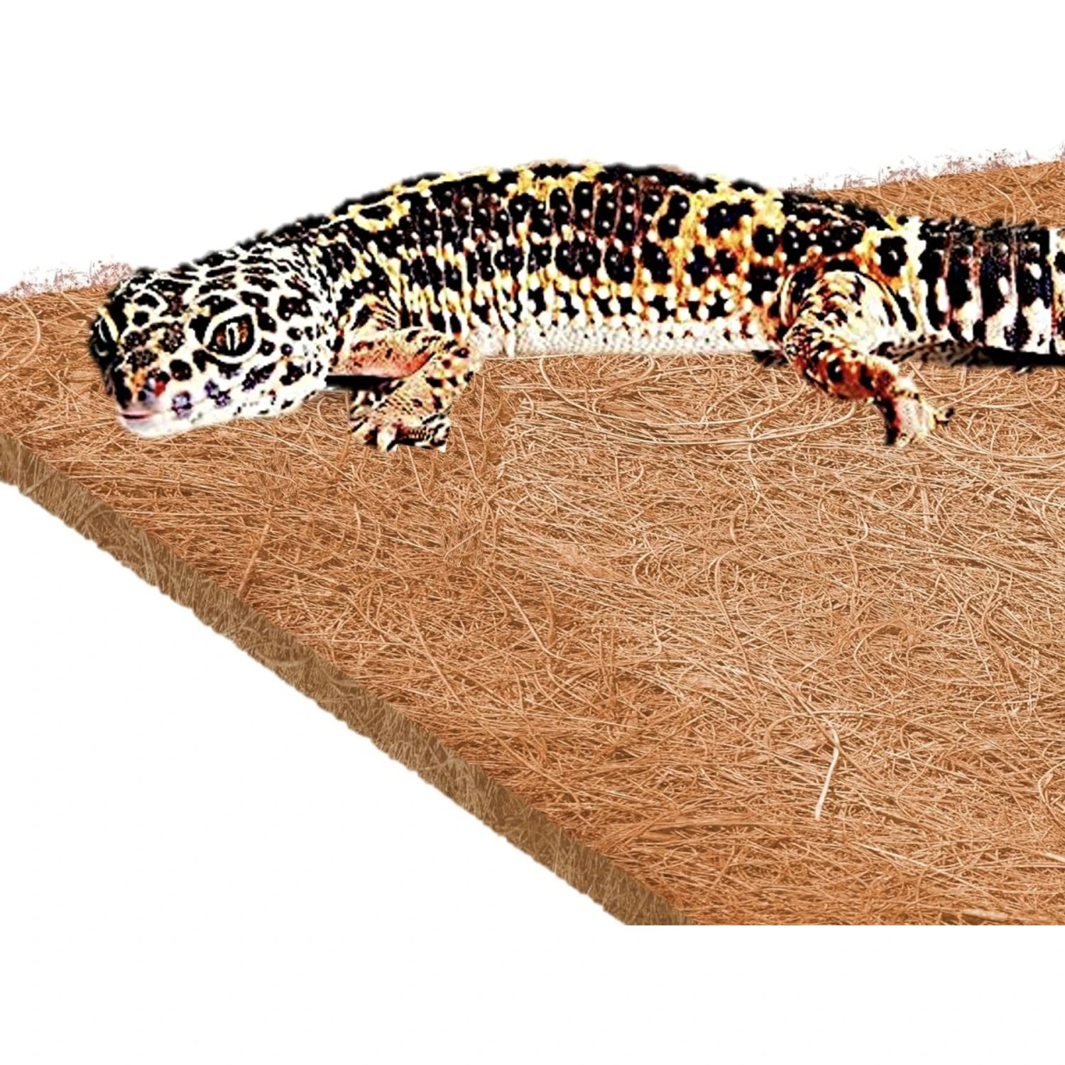 SunGrow Reptile Carpet Mat For Gecko & Hermit Crab, Coconut Fiber Substrate Bedding Terrarium Liner - Image 2