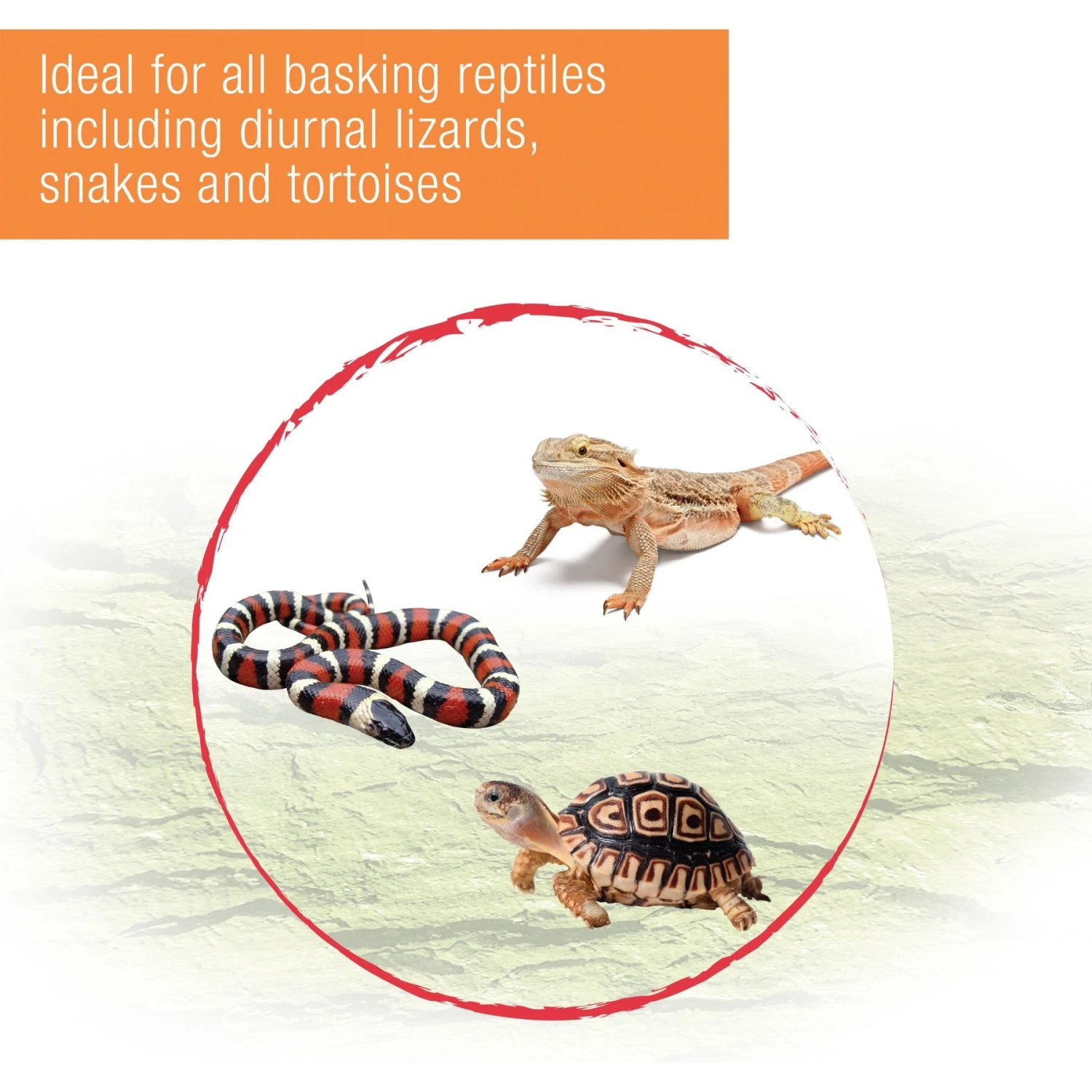 Zilla Heat Reptile Heat Projector - Image 4