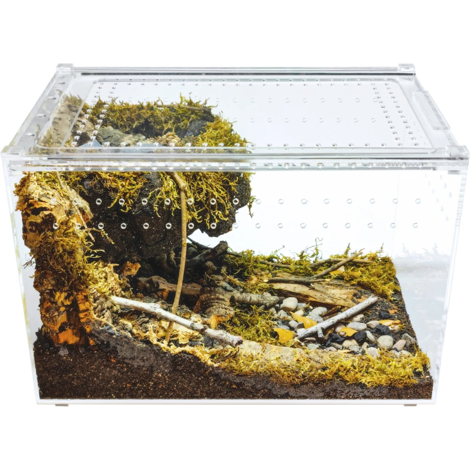 HerpCult Acrylic Enclosure Large Reptile Terranium, Clear, 3.3-gal - Image 2
