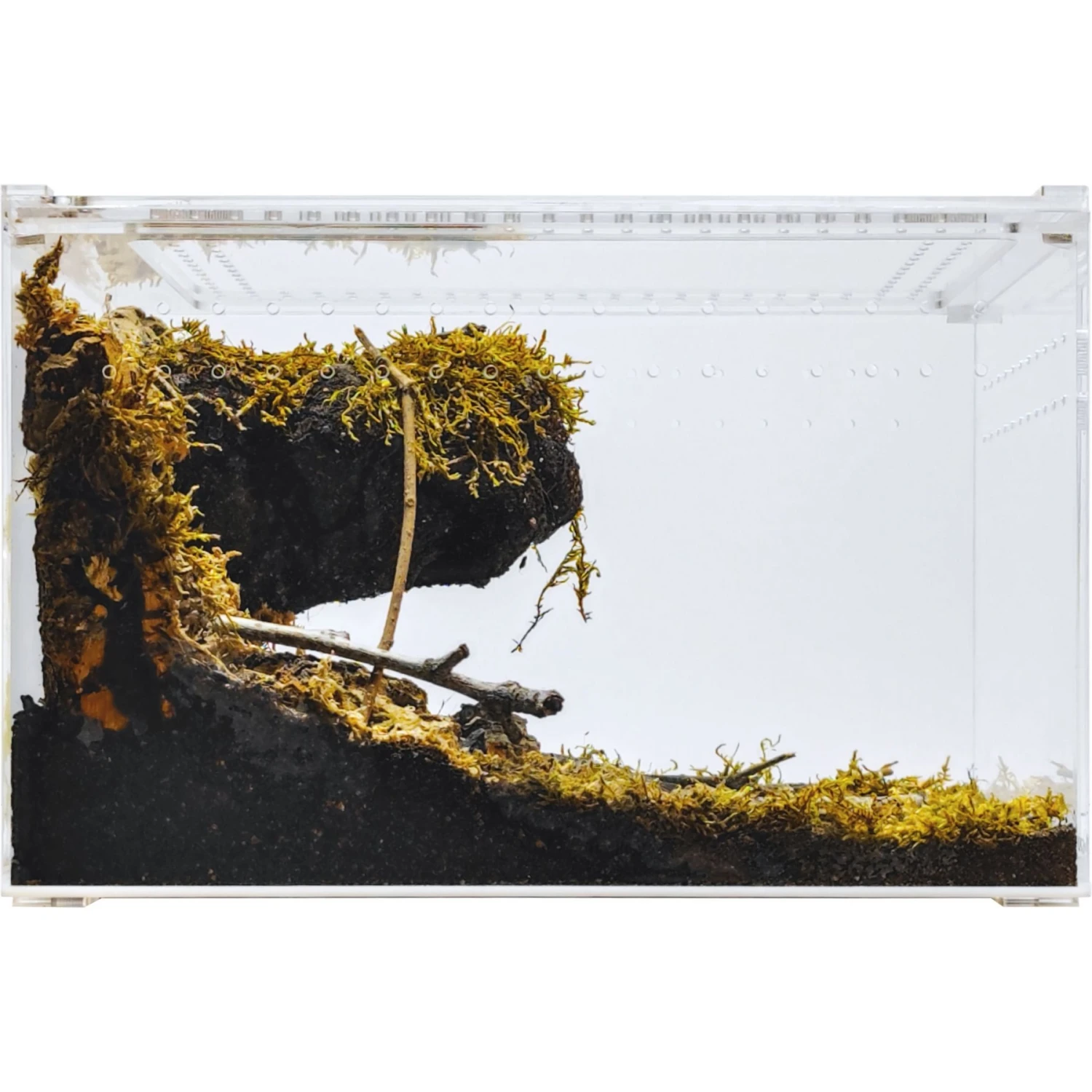 HerpCult Acrylic Enclosure Large Reptile Terranium, Clear, 3.3-gal - Image 4