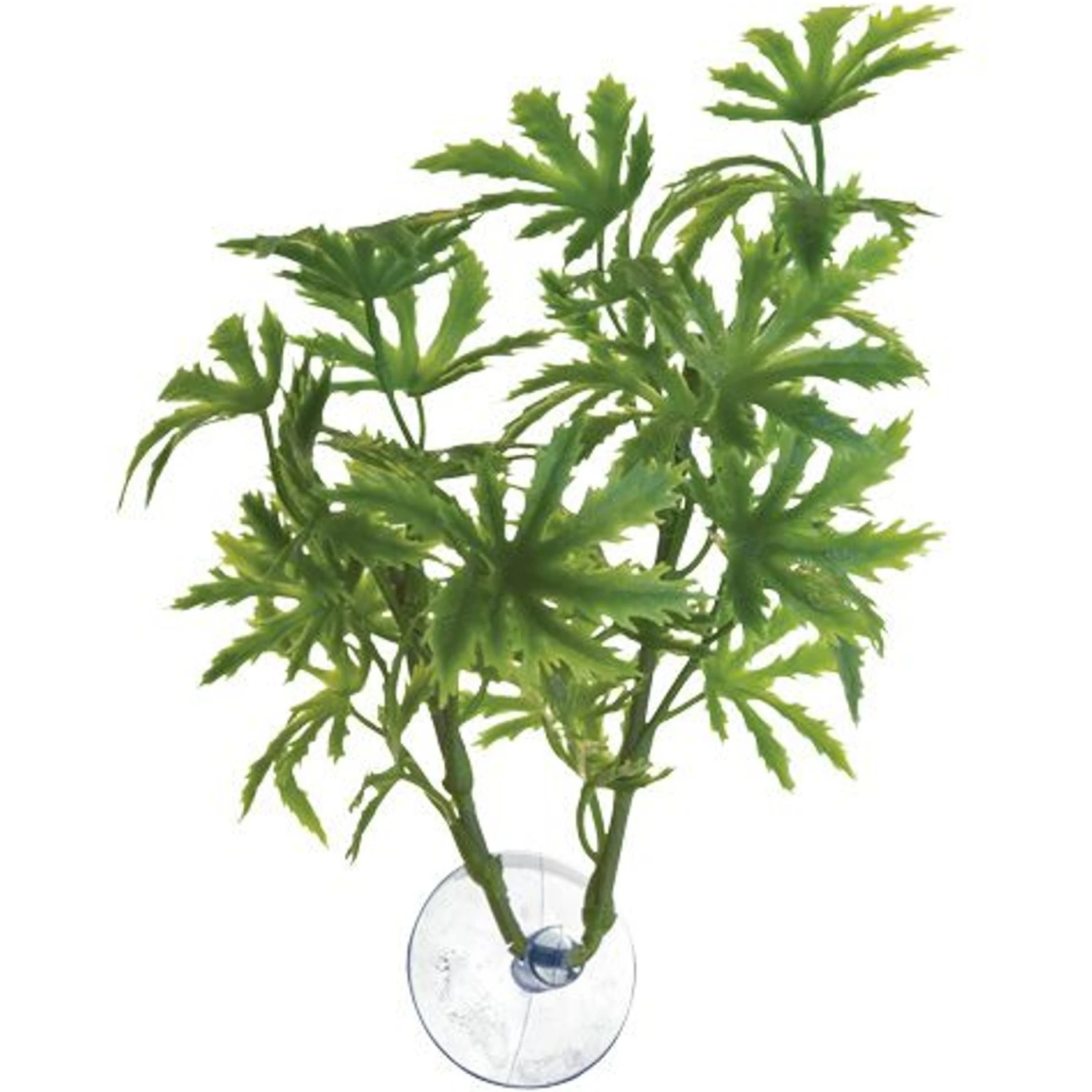 Zoo Med Papaya Betta Plant