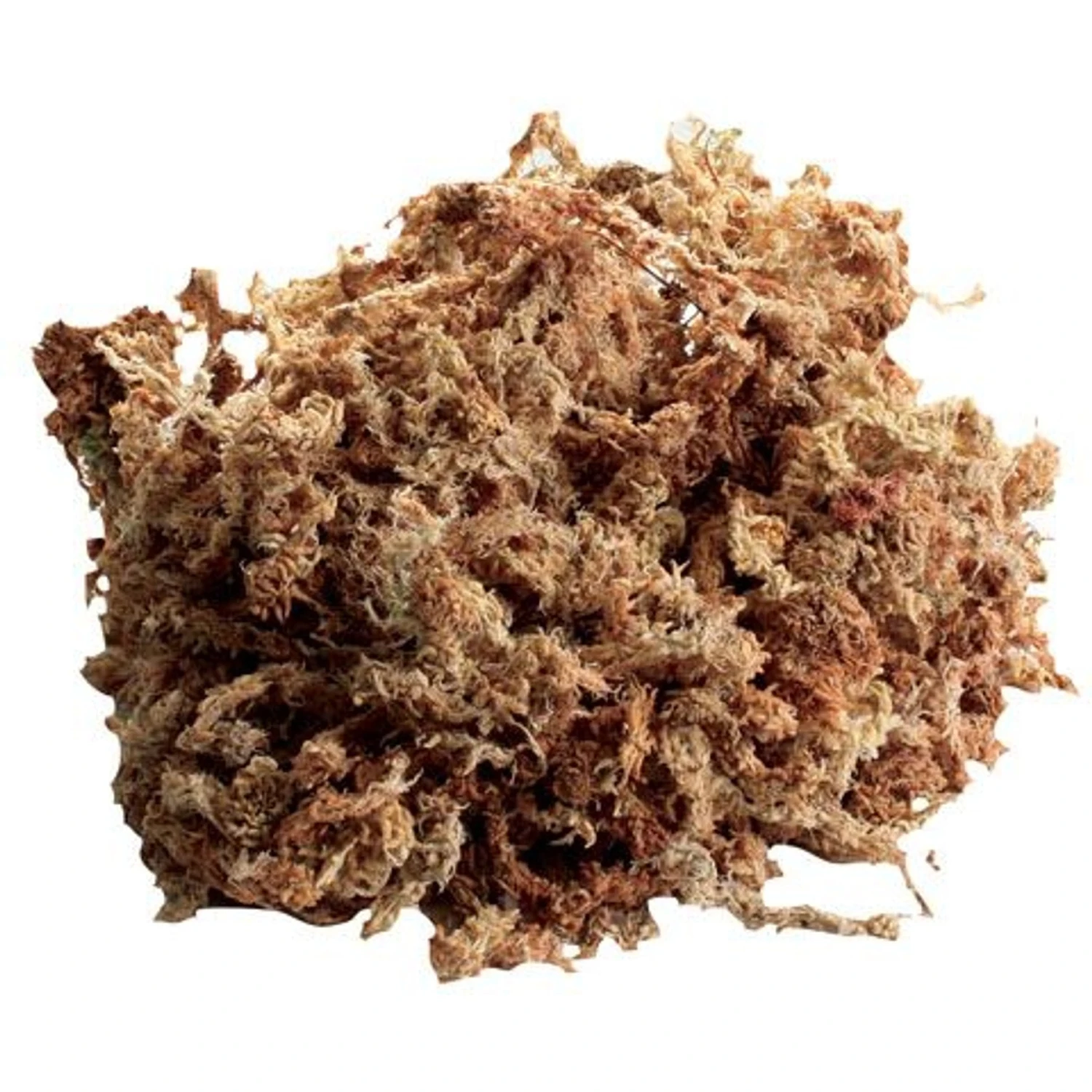 Zoo Med New Zealand Sphagnum Moss Reptile Substrate, 80-in