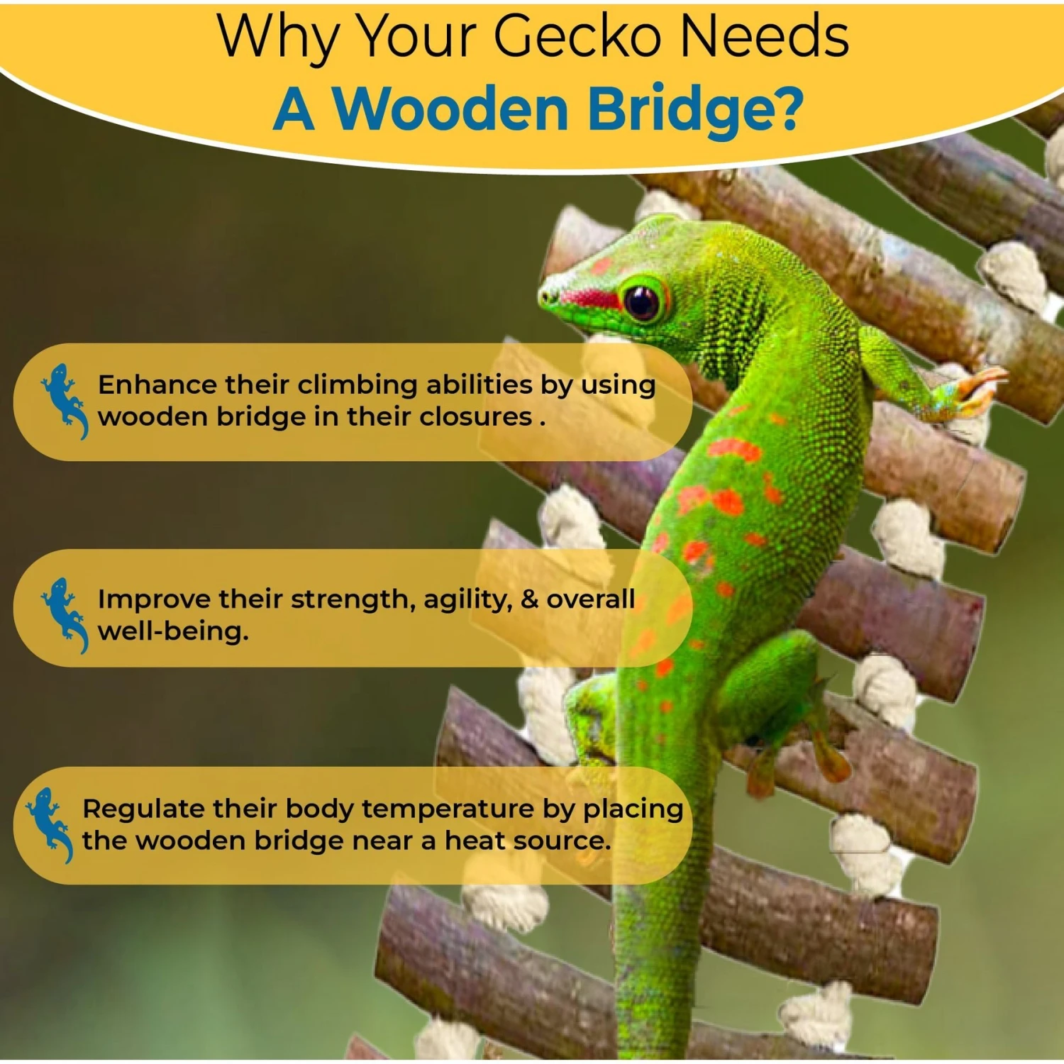 SunGrow Bearded Dragon & Leopard Gecko Wooden Ladder, Reptile Bridge Climbing Accessories - Image 2