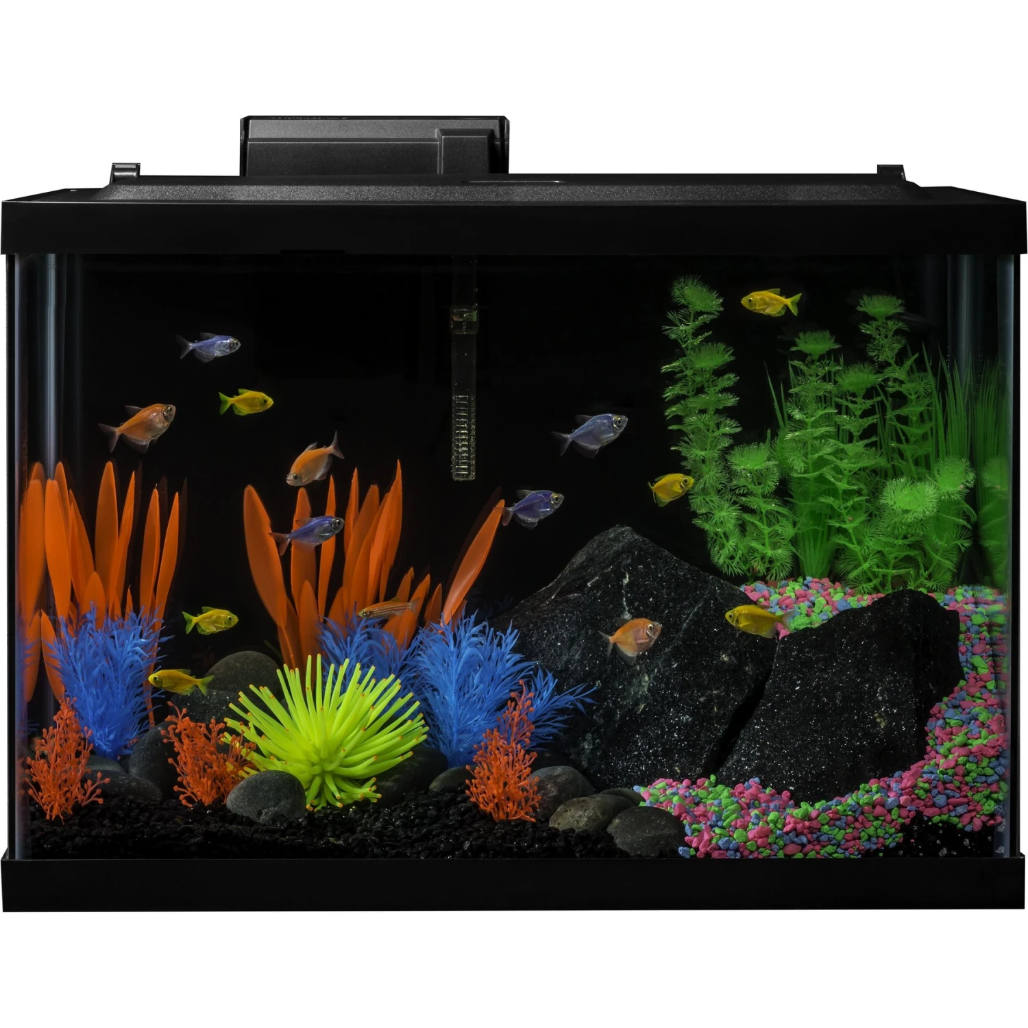 GloFish Decor Heater & Filter Aquarium Kit With LED Lights, 20-gal