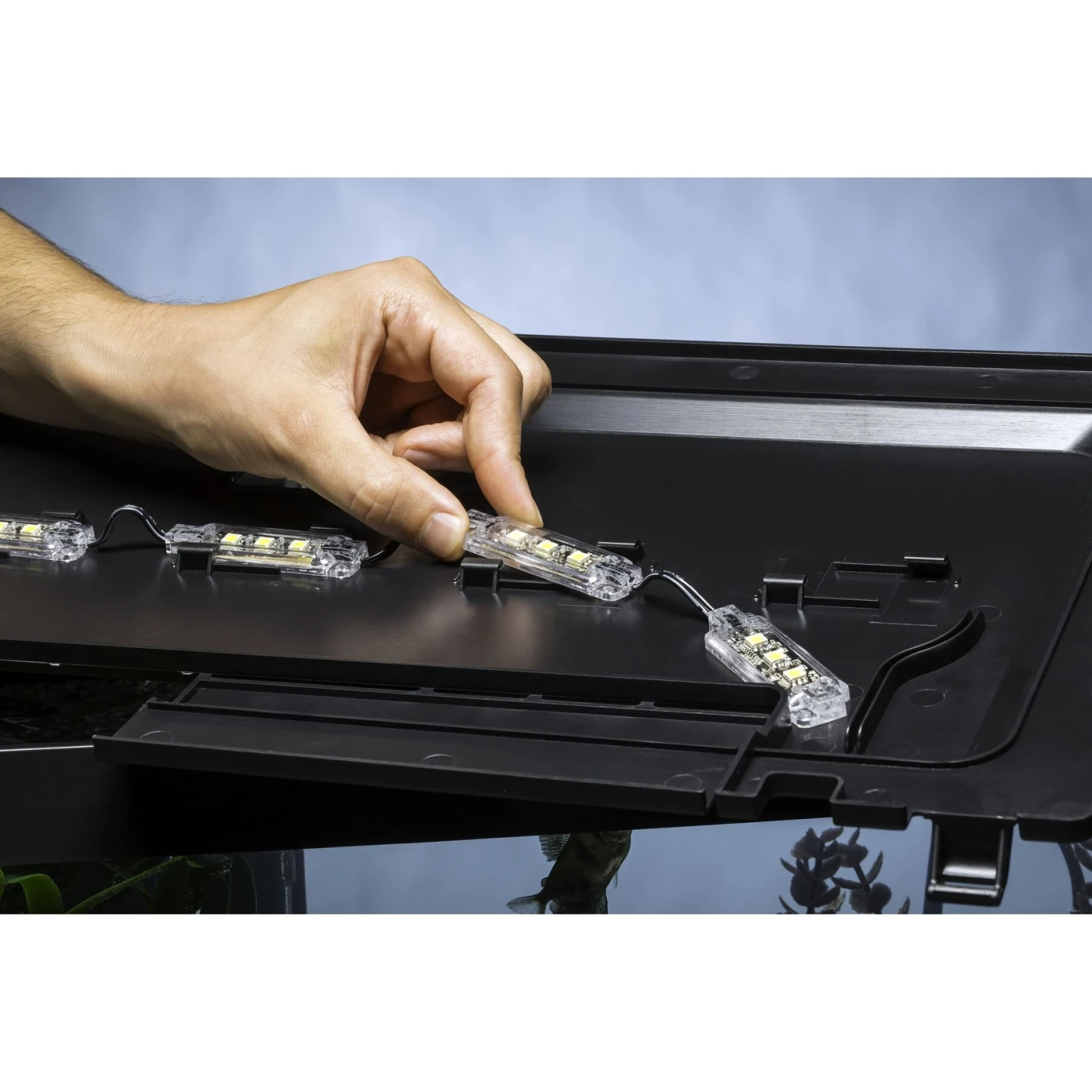 GloFish Decor Heater & Filter Aquarium Kit With LED Lights, 20-gal - Image 4