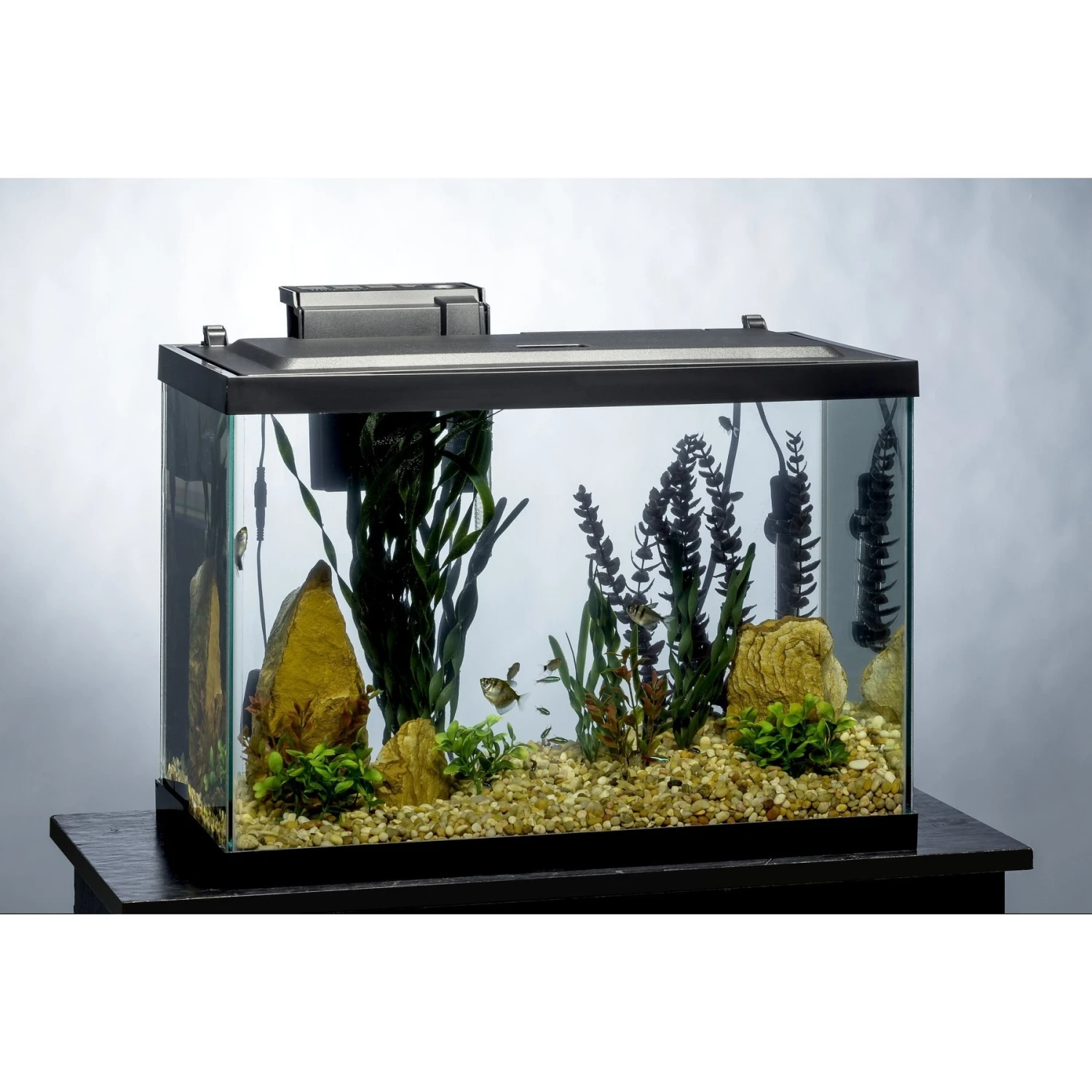 GloFish Decor Heater & Filter Aquarium Kit With LED Lights, 20-gal - Image 7