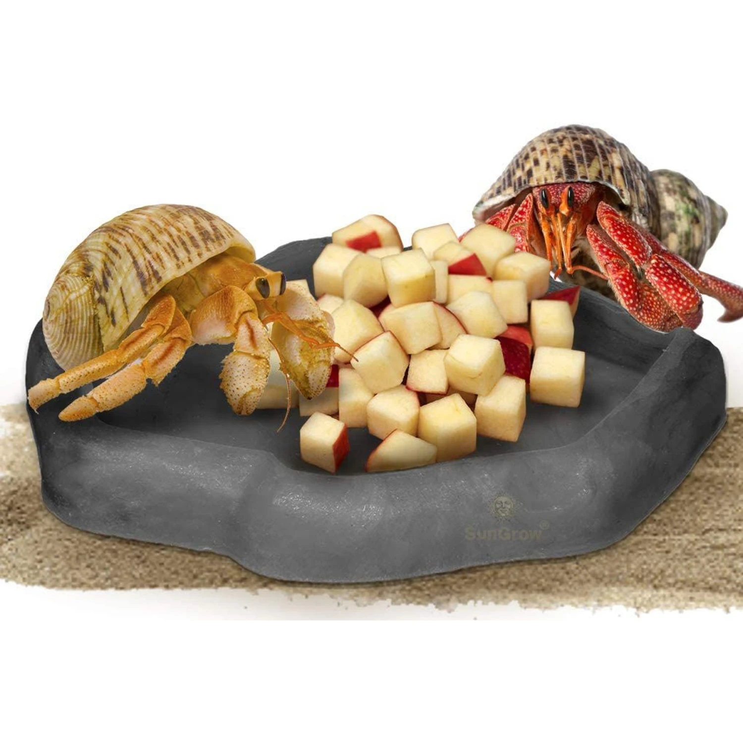 SunGrow Reptile Food & Water Dish Non-Skid Plastic Hermit Crab Bowl, Terrarium Decor Supplies, Charcoal