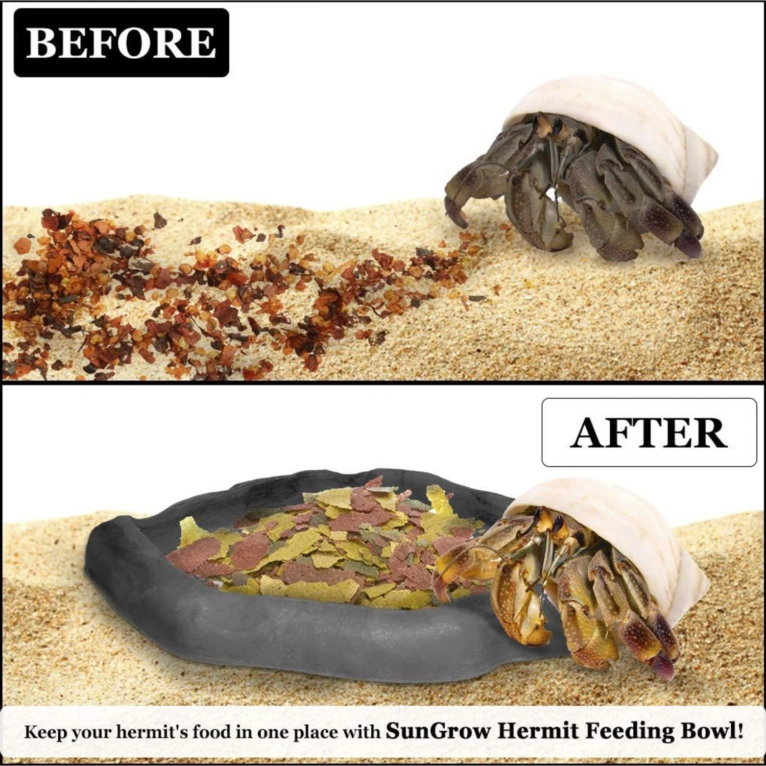 SunGrow Reptile Food & Water Dish Non-Skid Plastic Hermit Crab Bowl, Terrarium Decor Supplies, Charcoal - Image 3