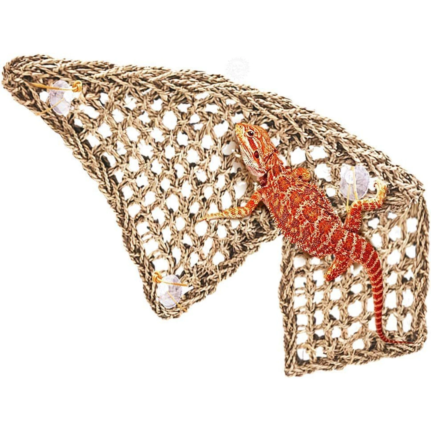 SunGrow Reptile Bearded Dragon & Lizard Climbing & Basking Lounger Hammock