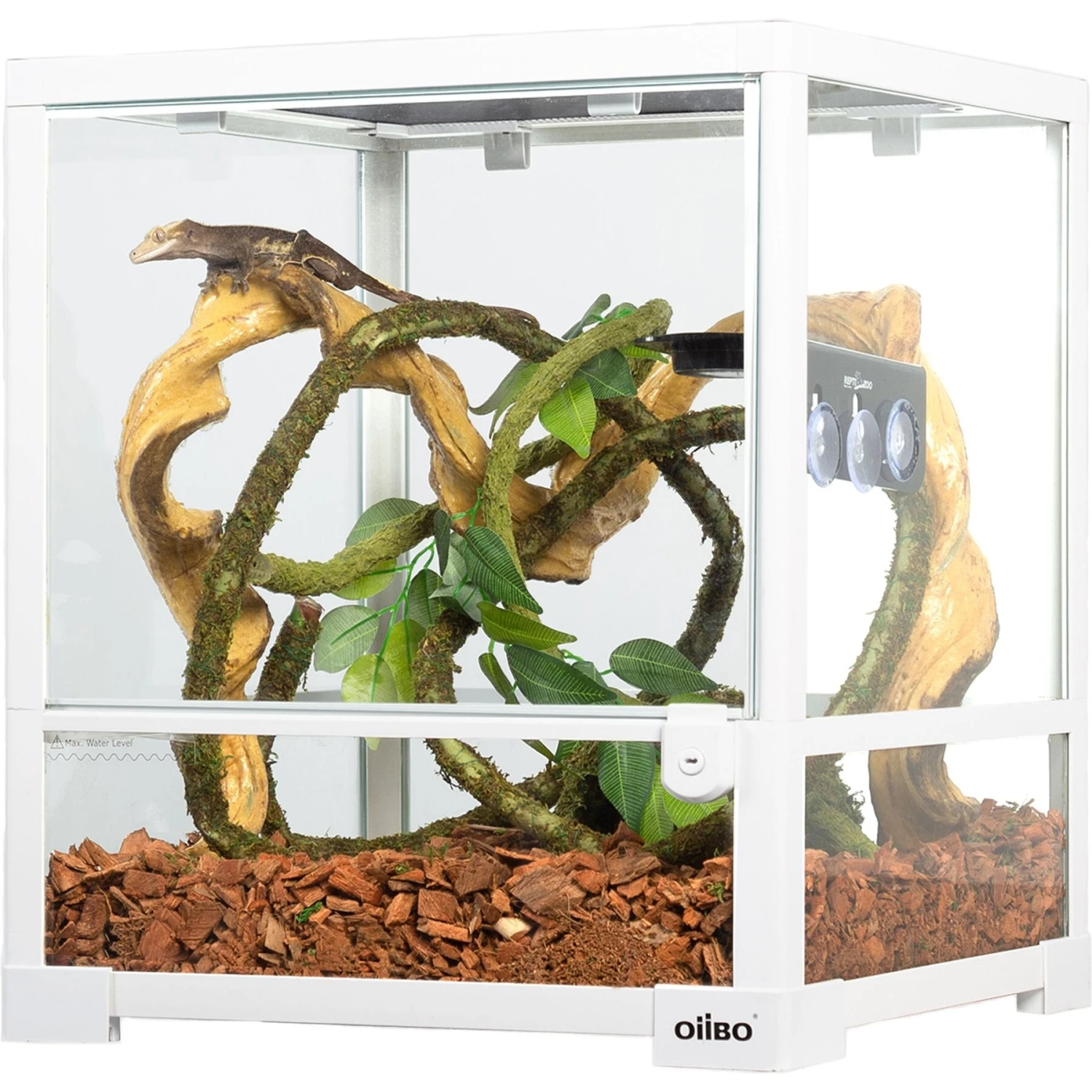 OiiBO Knock Down Single Door Glass Terrarium, White, 18-gal