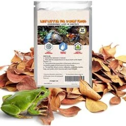 SunGrow Mini Catappa Frog & Gecko Leaf Litter, Bioactive Substrate For Reptile Vivarium, 50 Count