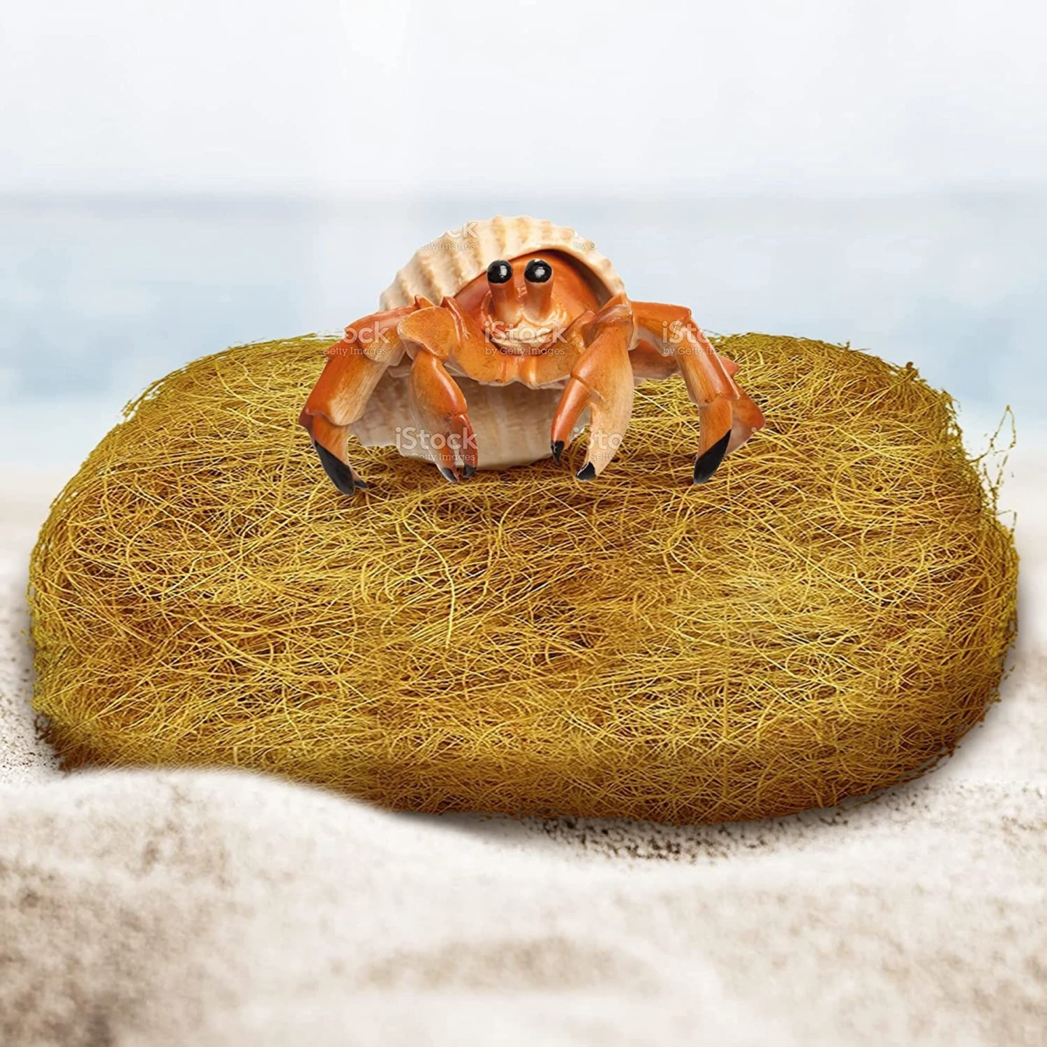 SunGrow Coconut Fiber Substrate For Gecko & Hermit Crab, Snake Bedding For Reptile Terrarium - Image 3