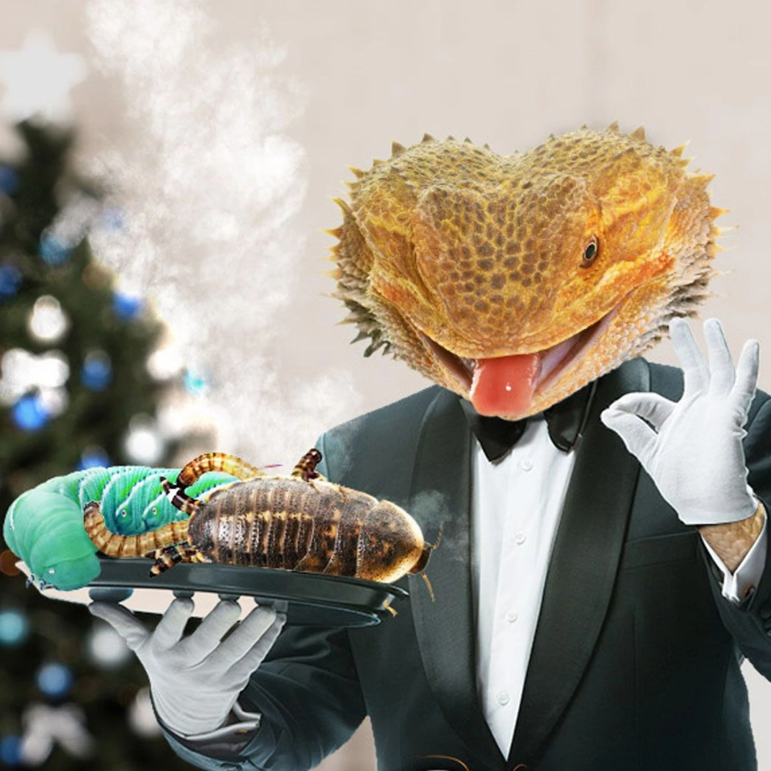 ABDragons Dubia Large Roach Hornworm & Superworm Live Feeder Combo Reptile Food - Image 2