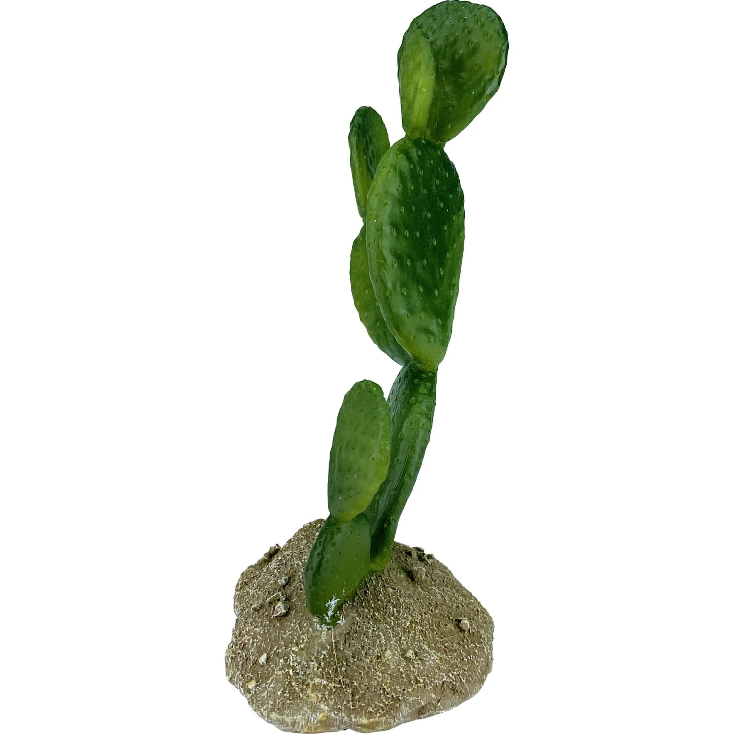 Komodo Cactus Prickly Pear Reptile Ornament, Green - Image 3