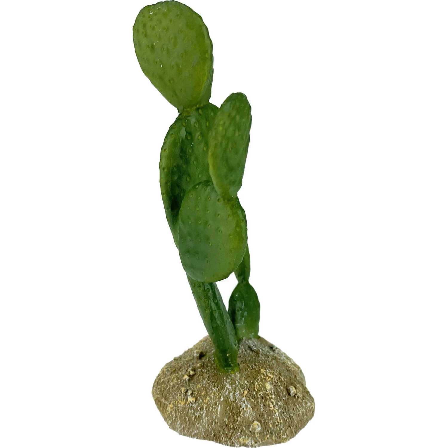 Komodo Cactus Prickly Pear Reptile Ornament, Green - Image 4