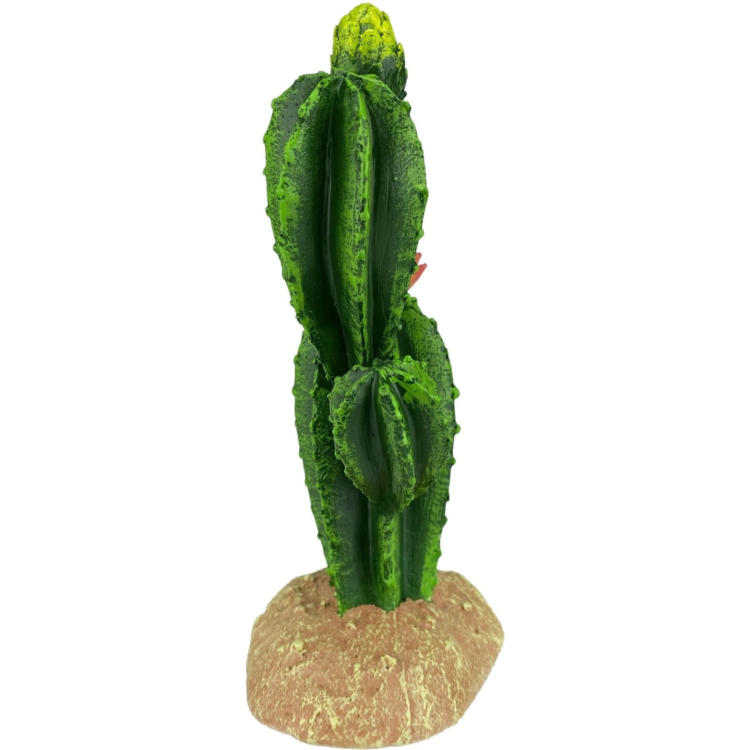 Komodo Cactus Flower Reptile Ornament, Green - Image 4