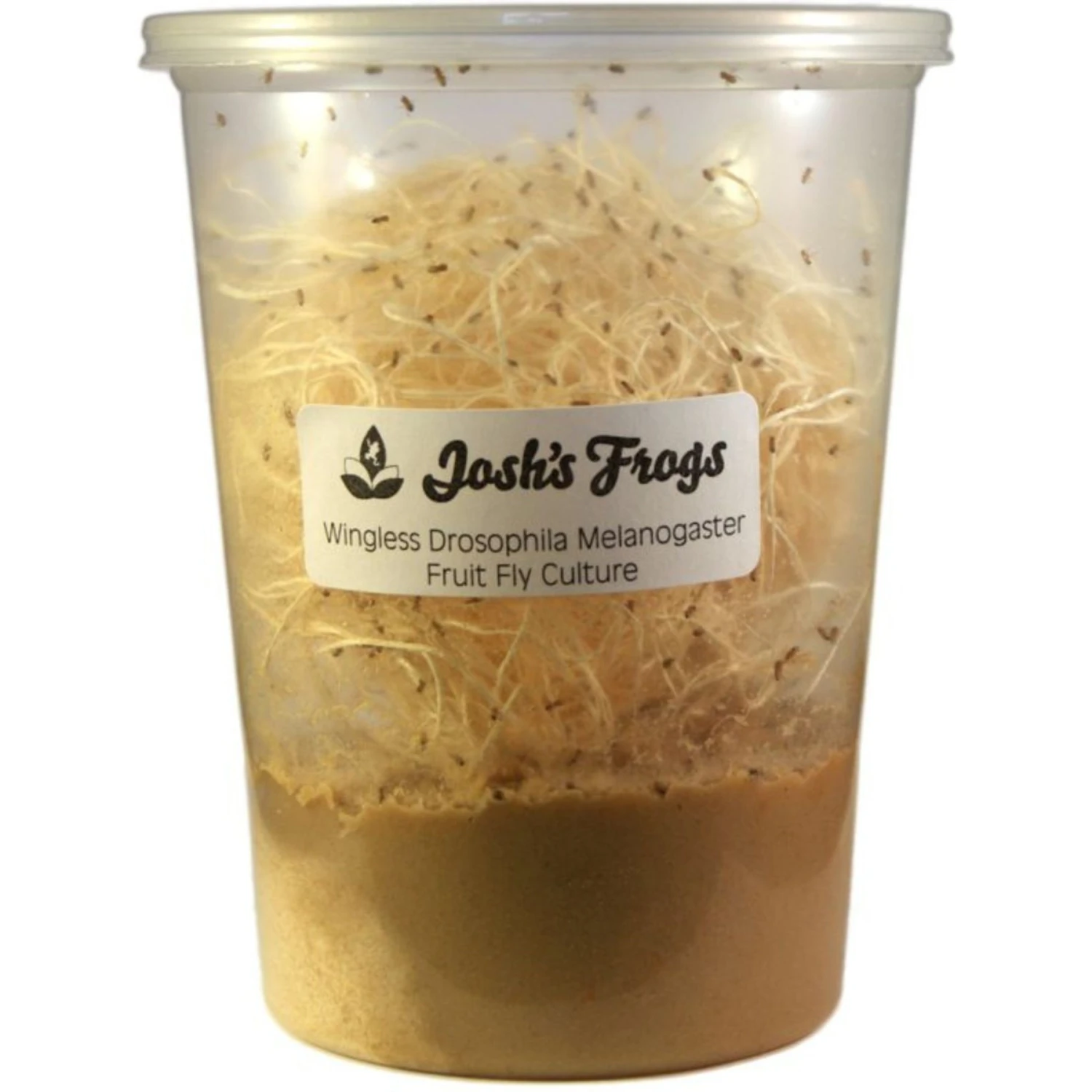 Josh's Frogs Dart Frog Feeder Bundle - Image 2