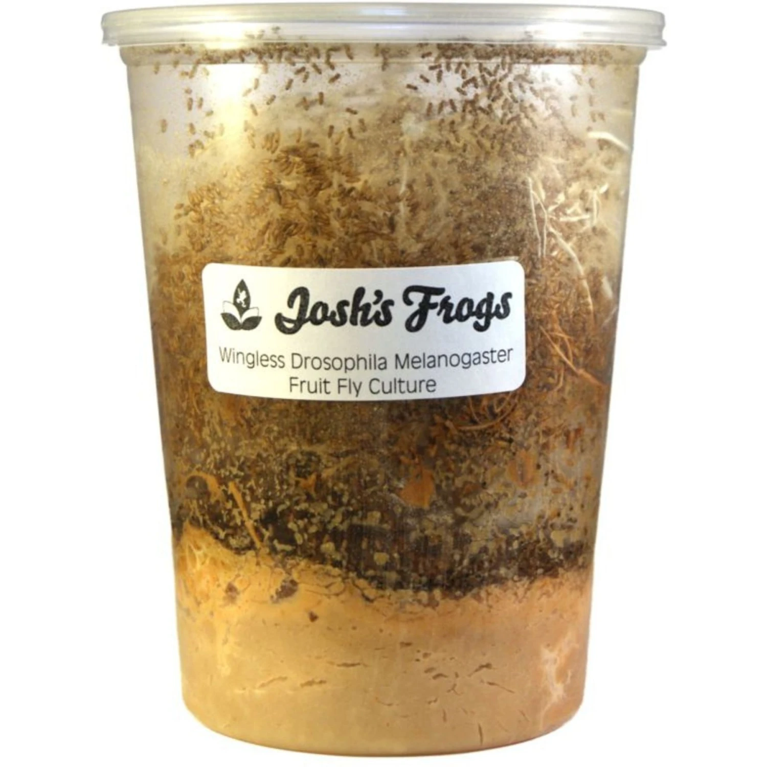 Josh's Frogs Dart Frog Feeder Bundle - Image 3