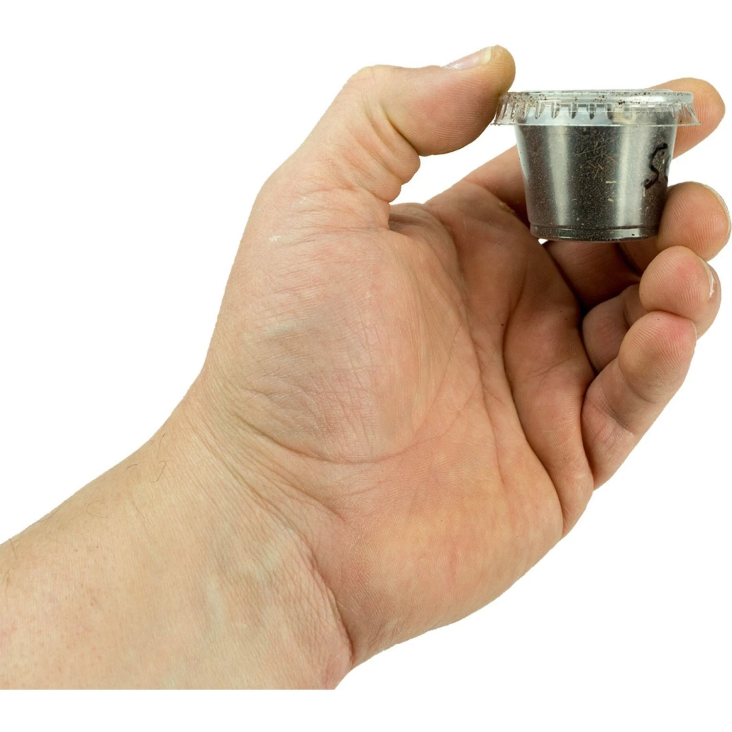 Josh's Frogs Dart Frog Feeder Bundle - Image 8