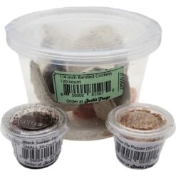 Josh's Frogs Baby Tree Frog Feeder Bundle, Small