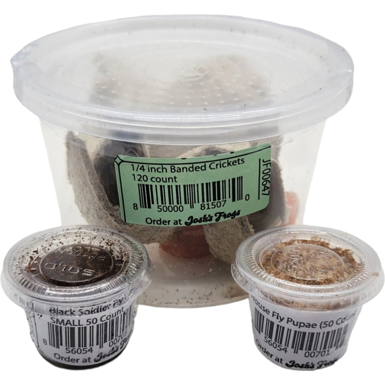 Josh's Frogs Baby Tree Frog Feeder Bundle, Small