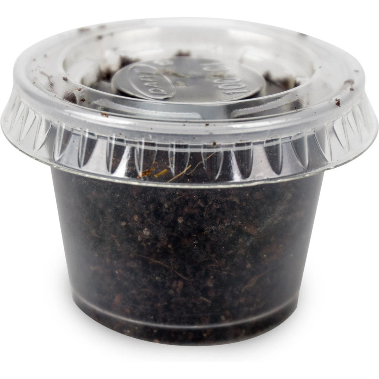 Josh's Frogs Baby Tree Frog Feeder Bundle, Small - Image 5