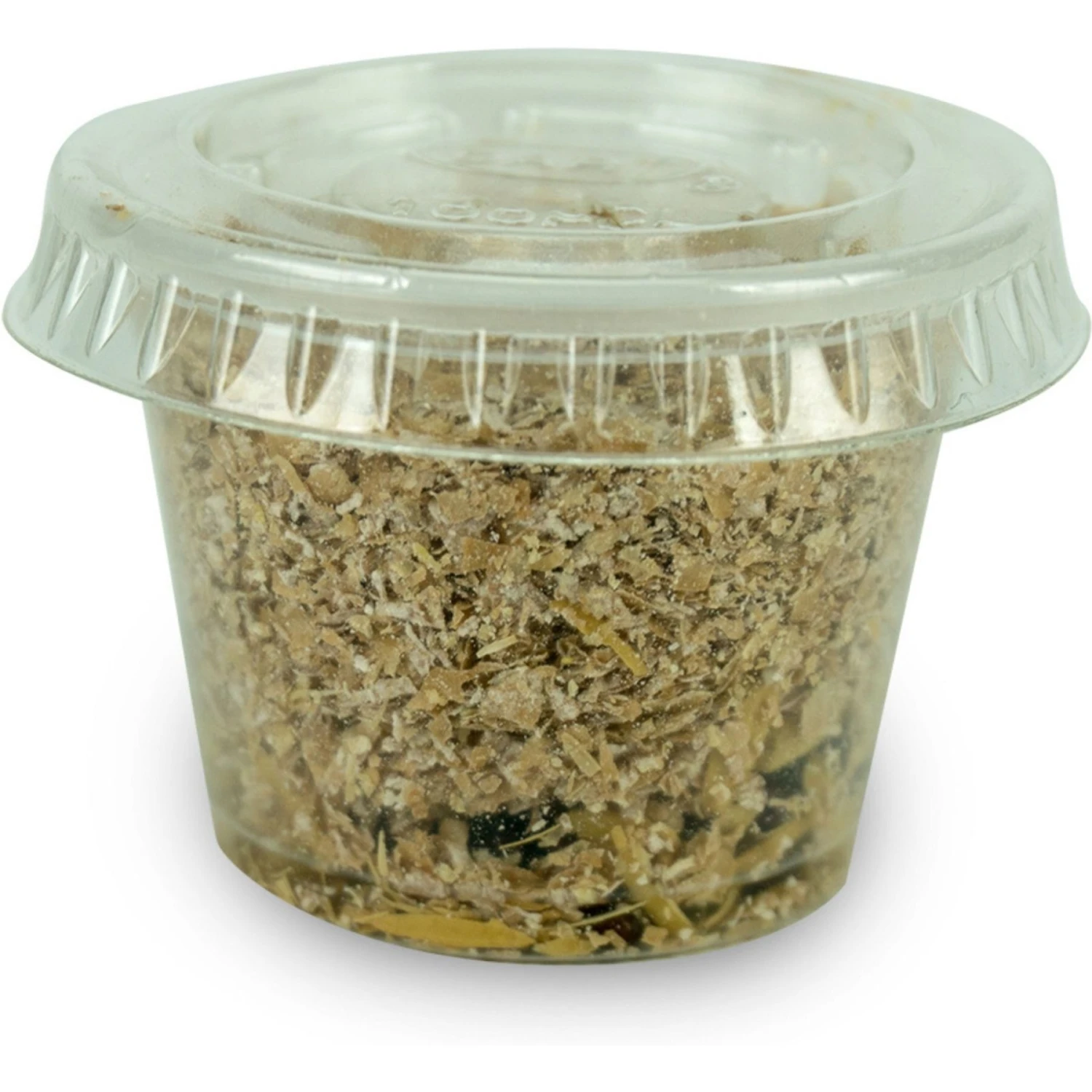 Josh's Frogs Baby Tree Frog Feeder Bundle, Small - Image 8