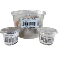 Josh's Frogs Juvenile Tree Frog Feeder Bundlem Medium