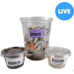 Josh's Frogs Adult Tree Frog Feeder Bundle, Large