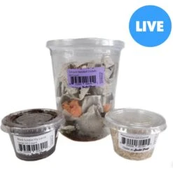 Josh's Frogs Toad Feeder Bundle