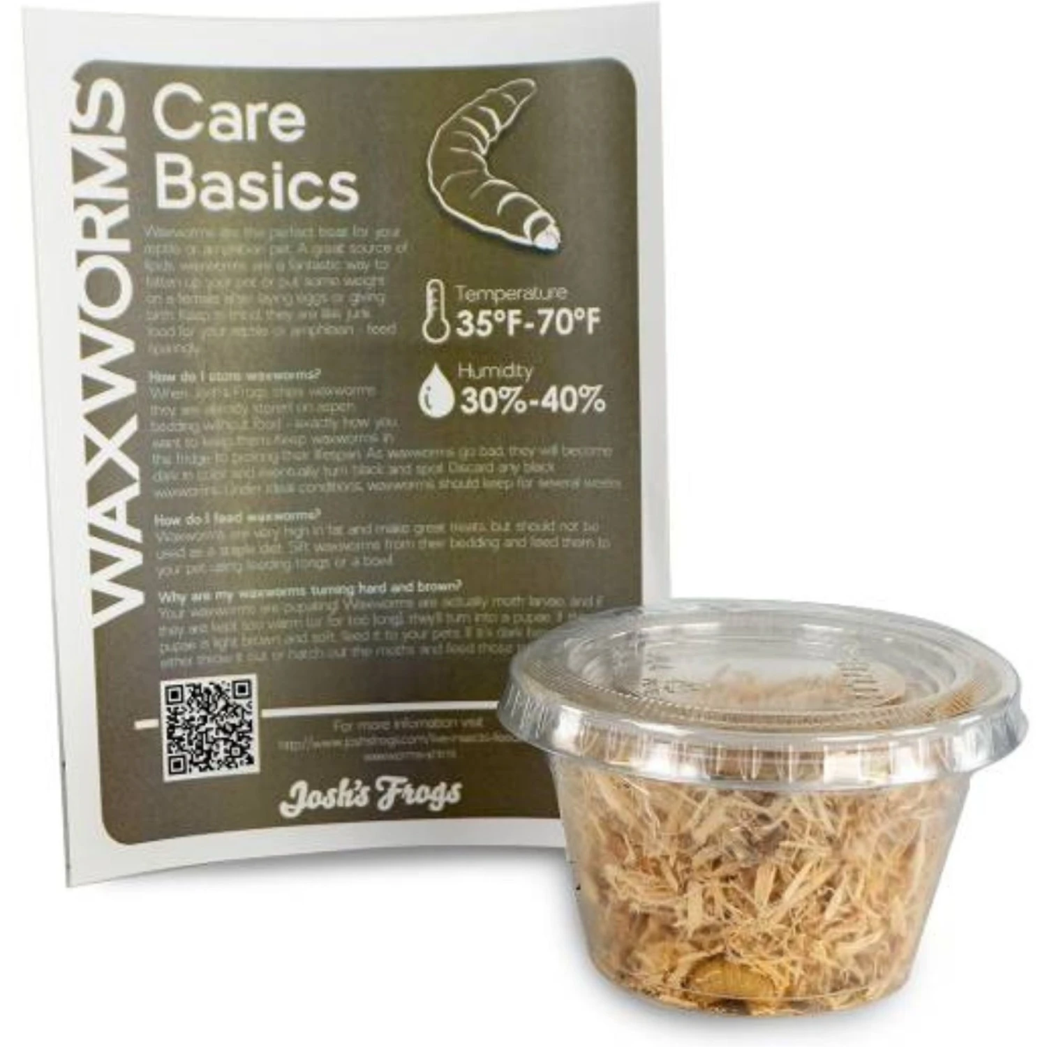 Josh's Frogs Juvenile Fat Tail Gecko Feeder Bundle - Image 8