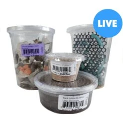 Josh's Frogs Adult Bearded Dragon Feeder Bundle